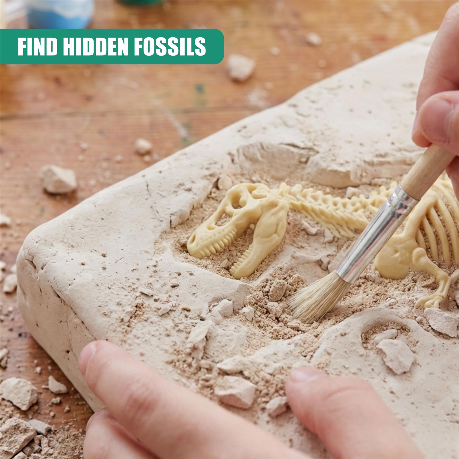 2-in-1 Fossil Excavation & Modelling Kit