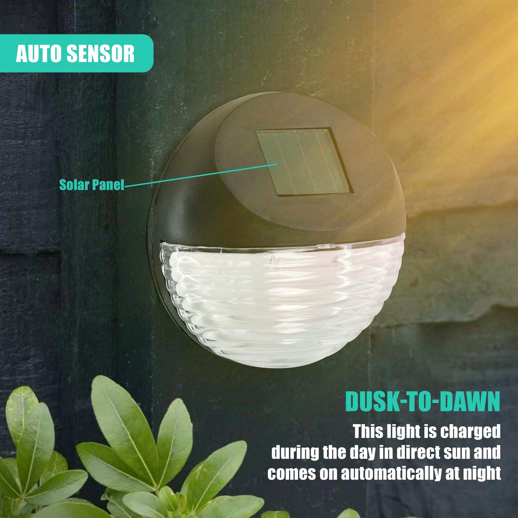 Solar Fence Lights, Set of 12 – RGB LED, Black by GEEZY - The Magic Toy Shop