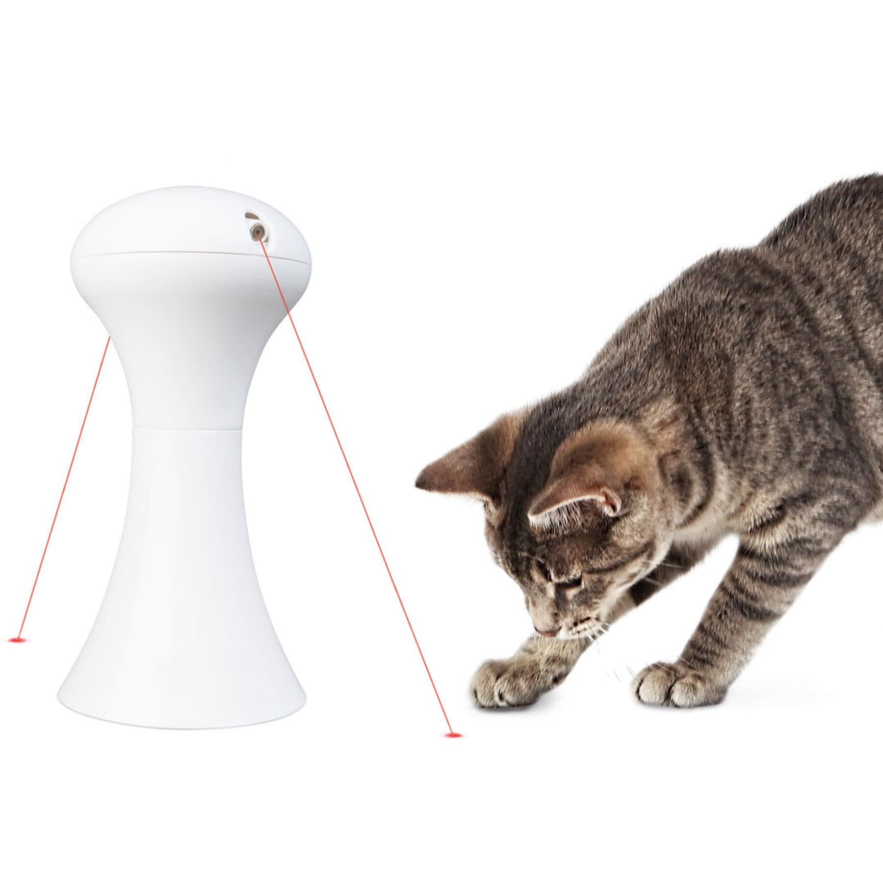 Cat Laser With Auto Switch Off & 360° Rotating Laser by GEEZY - The Magic Toy Shop