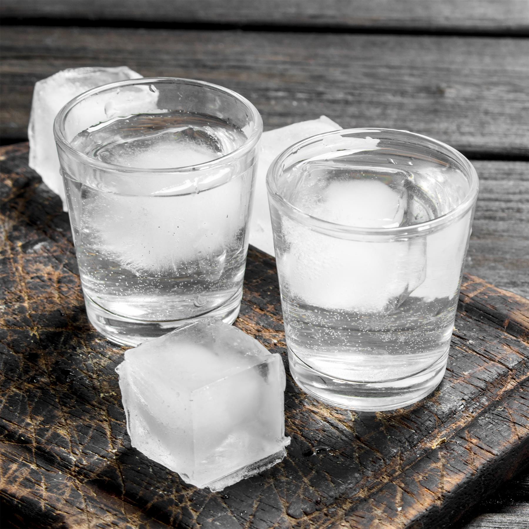 12 Pieces Shot Glass Appetizers by GEEZY - The Magic Toy Shop