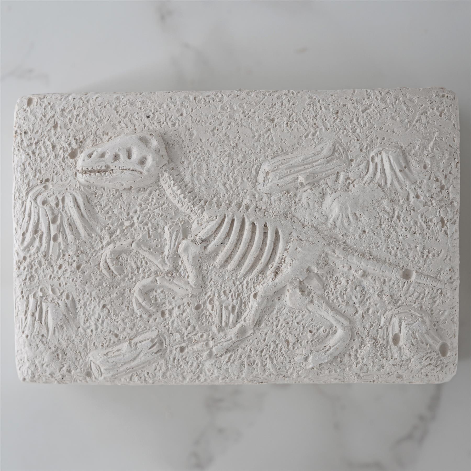 Dinosaur Fossils Digging Kit by The Magic Toy Shop - The Magic Toy Shop