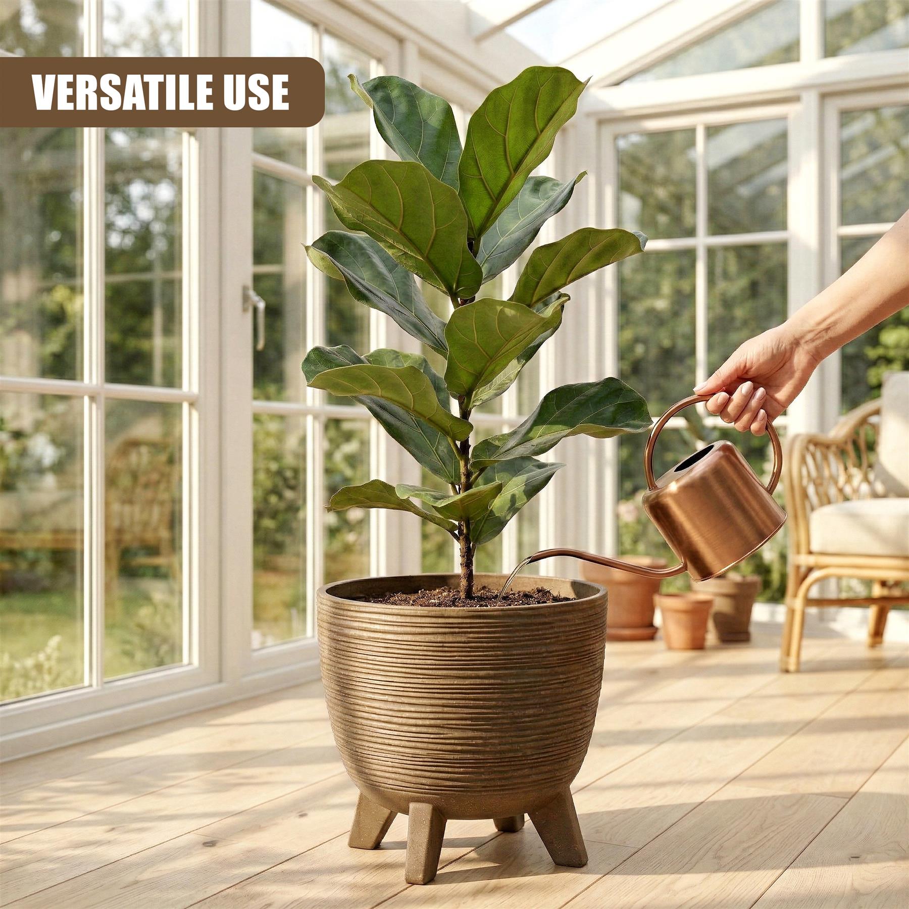 Hand pours water onto a large green potted plant housed in a woven brown container.