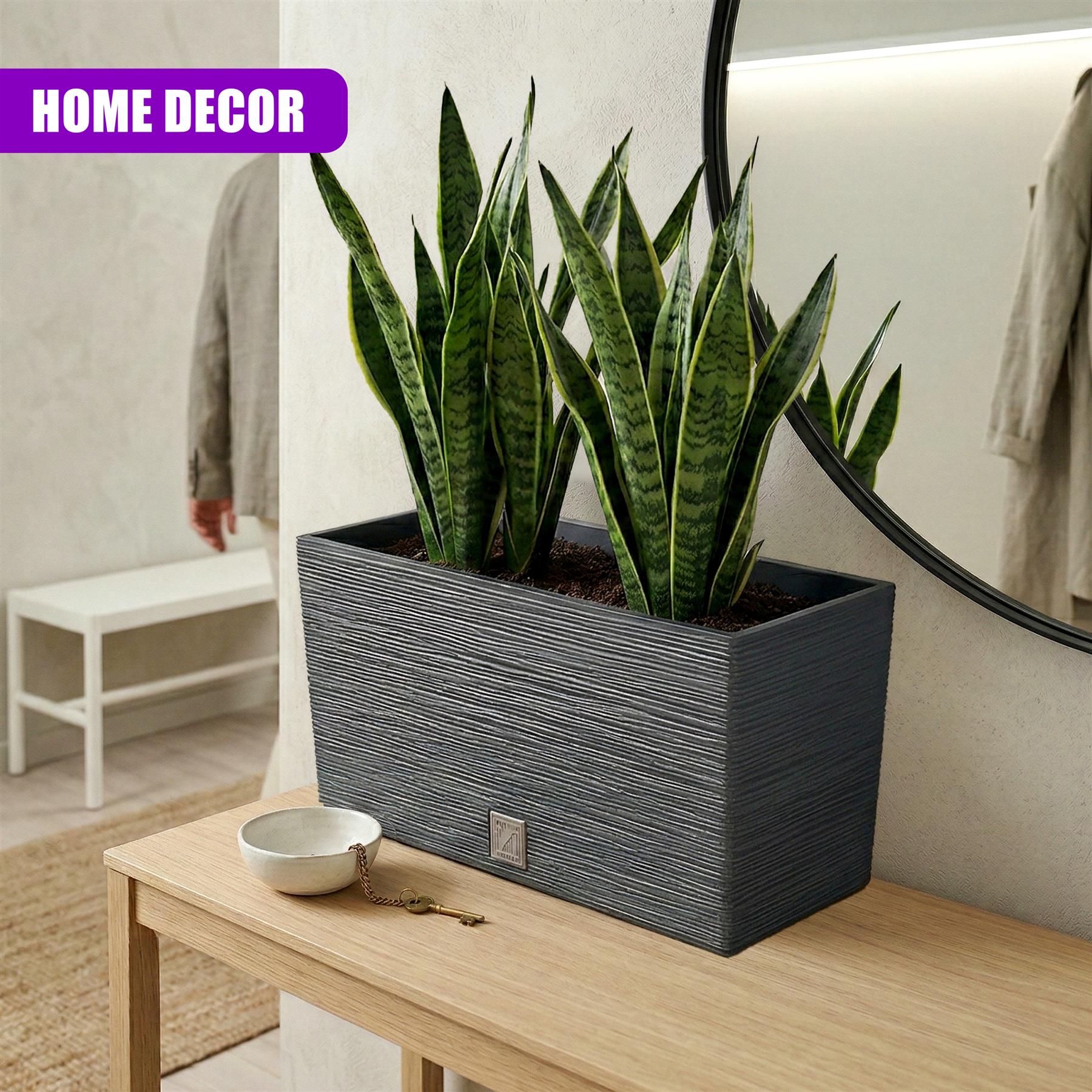 Dark gray rectangular planter holding vibrant green snake plants, resting on a light wood surface.