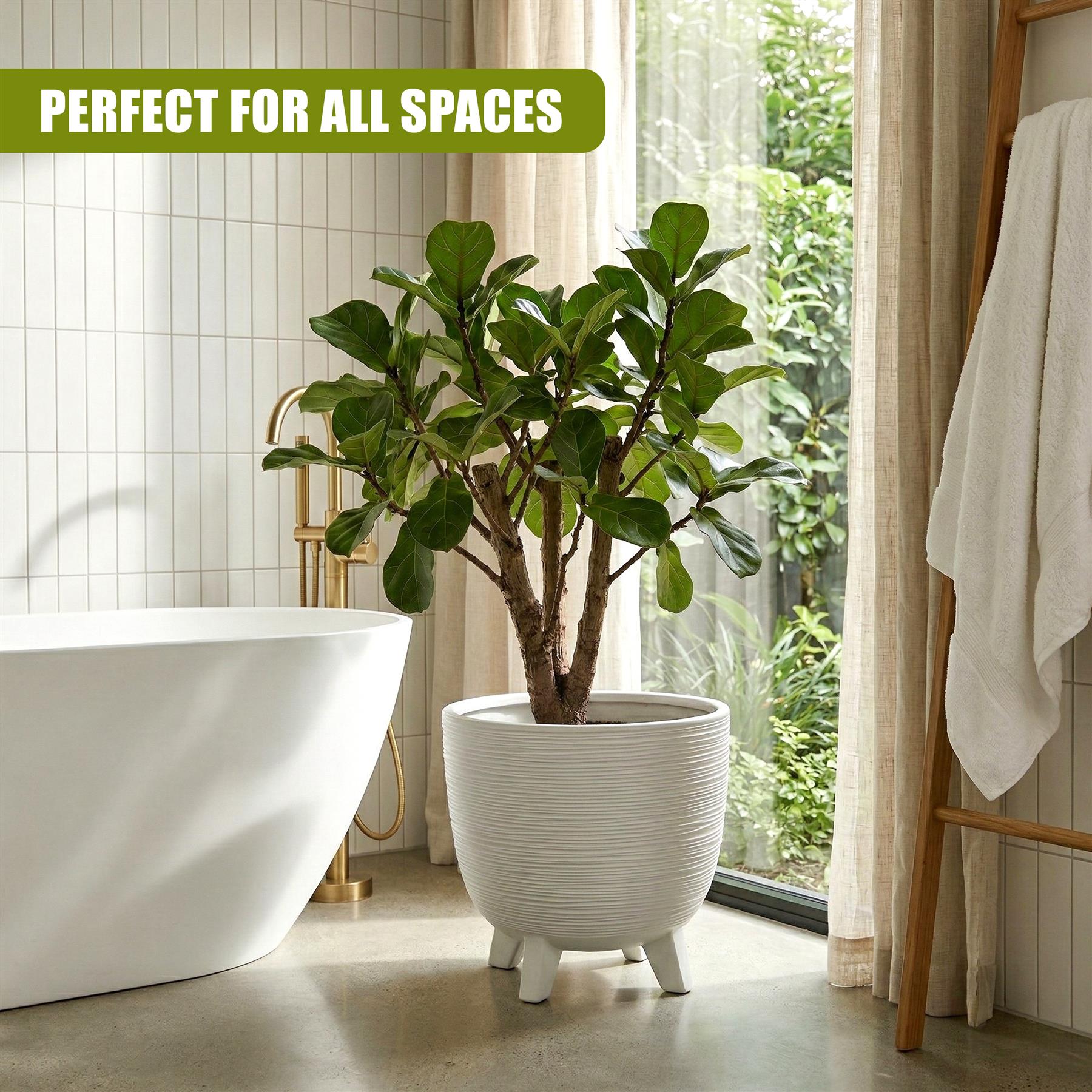 The white, ribbed flower pot rests on short legs, holding a large, healthy green houseplant.