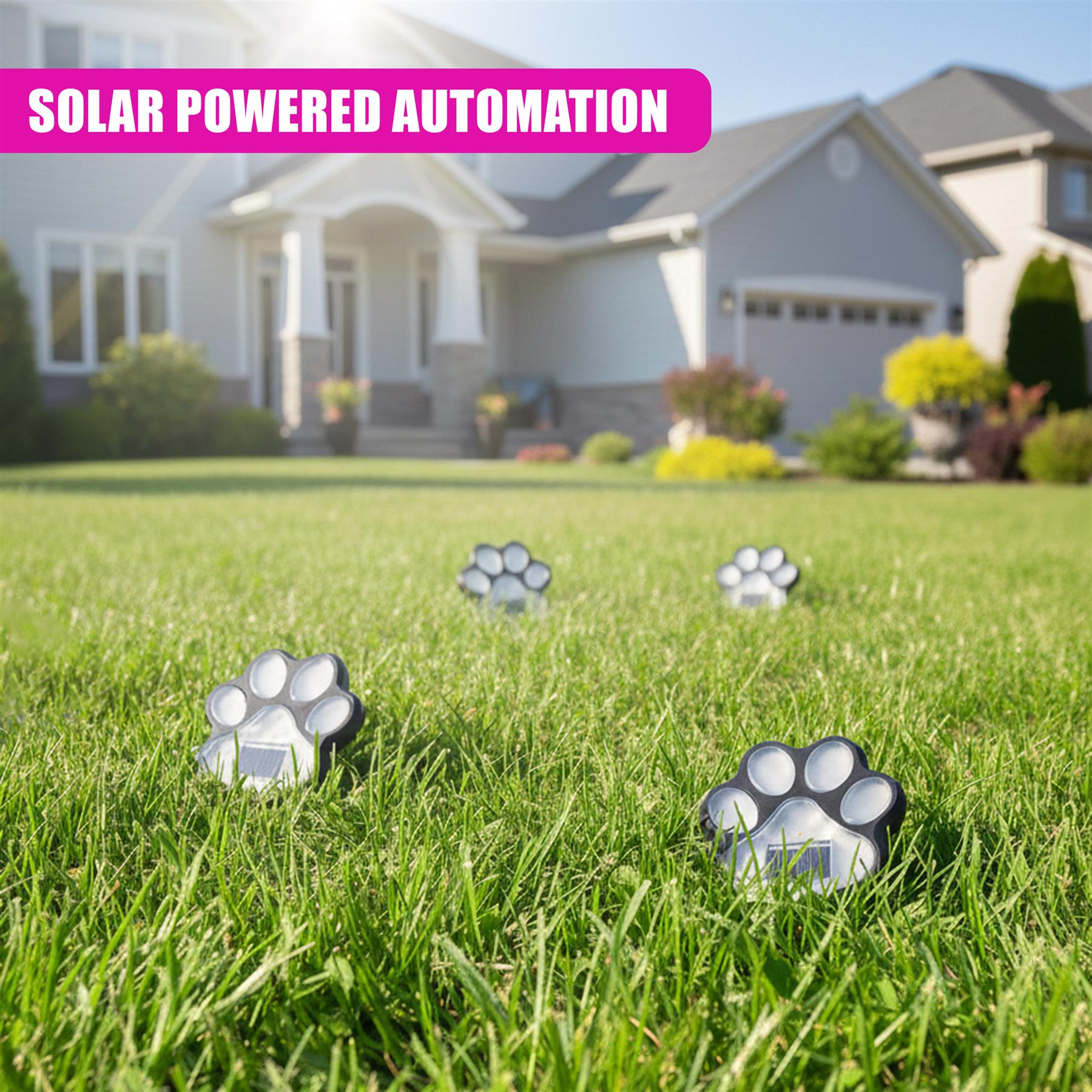 Paw Print Solar Stake Light, Set of 4