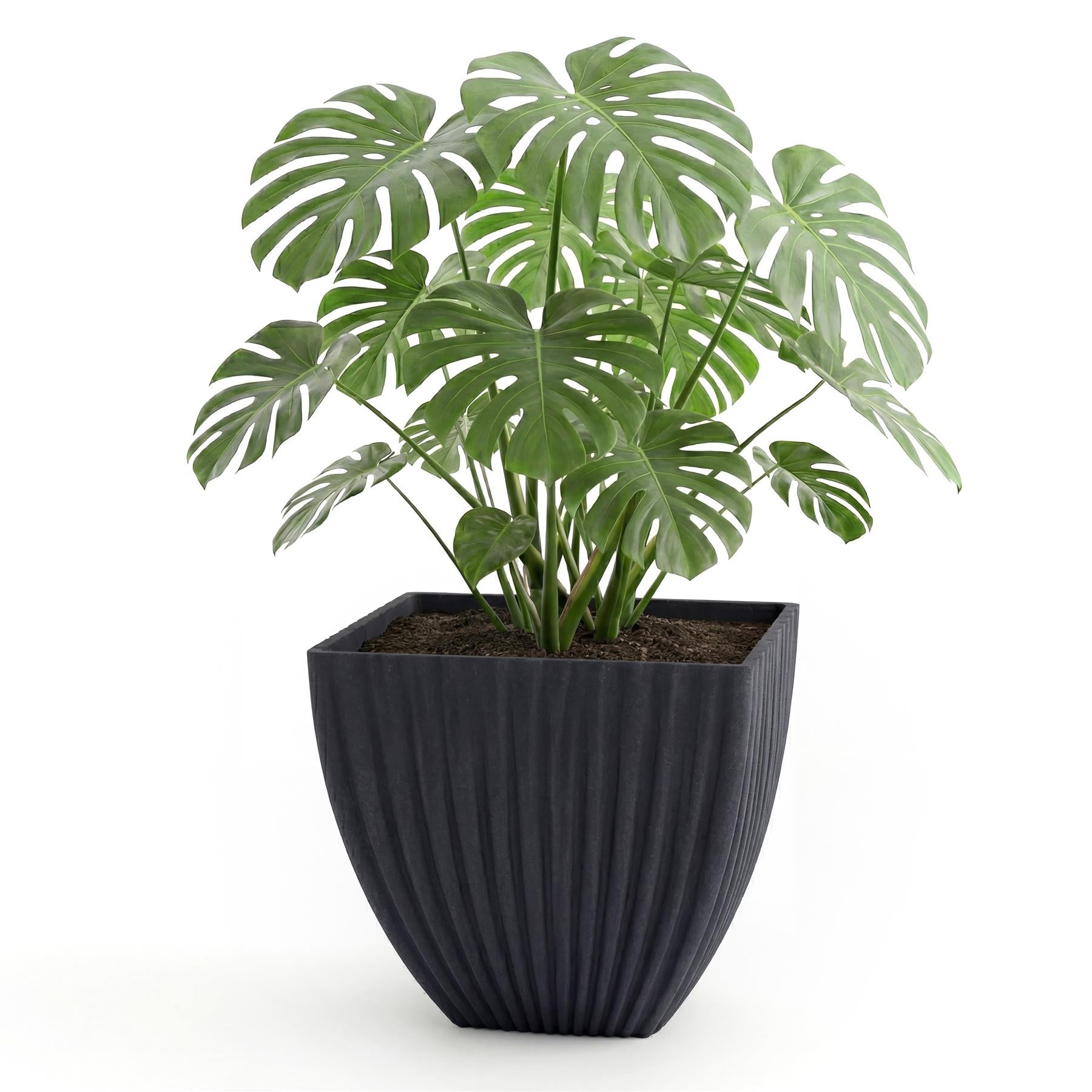 Large Charcoal Black Lotus Square Planter