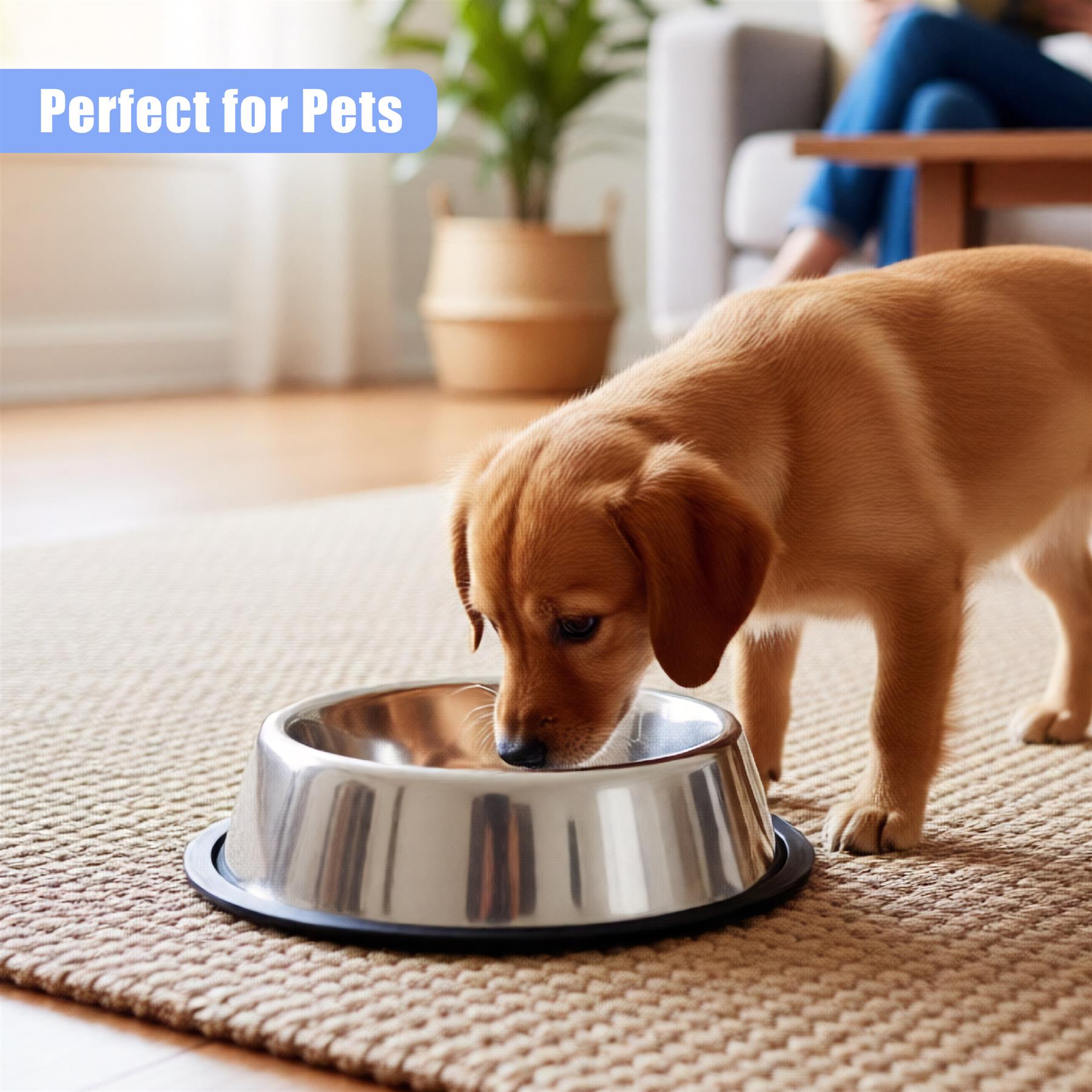 A small, golden-brown puppy is shown standing on a rug, sniffing a stainless steel dog bowl on a floor. - The Magic Toy Shop