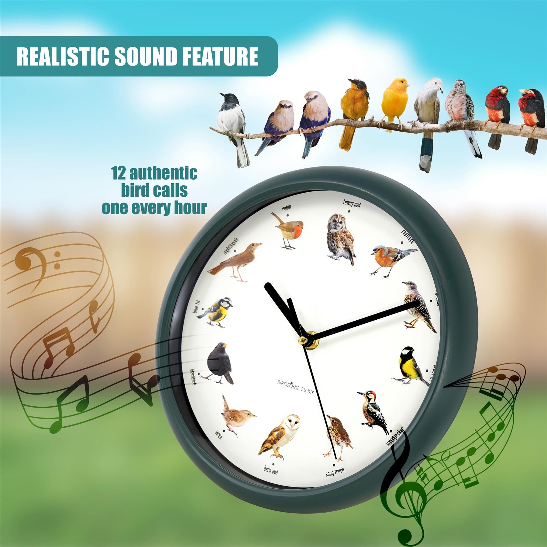 Birdsong Wall Clock with 12 Songs by GEEZY - The Magic Toy Shop