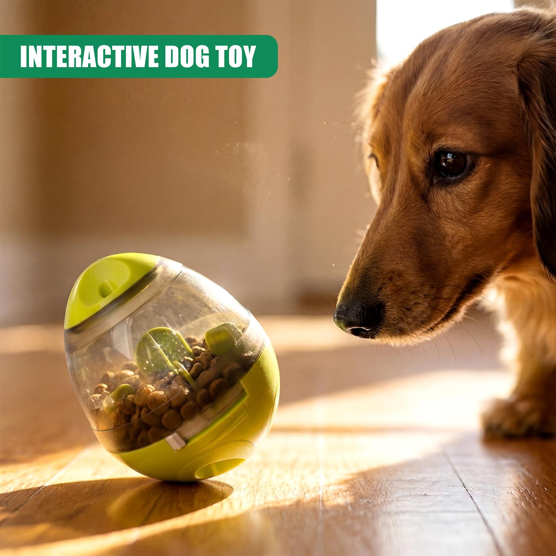 Treat Dispensing Dog Toy
