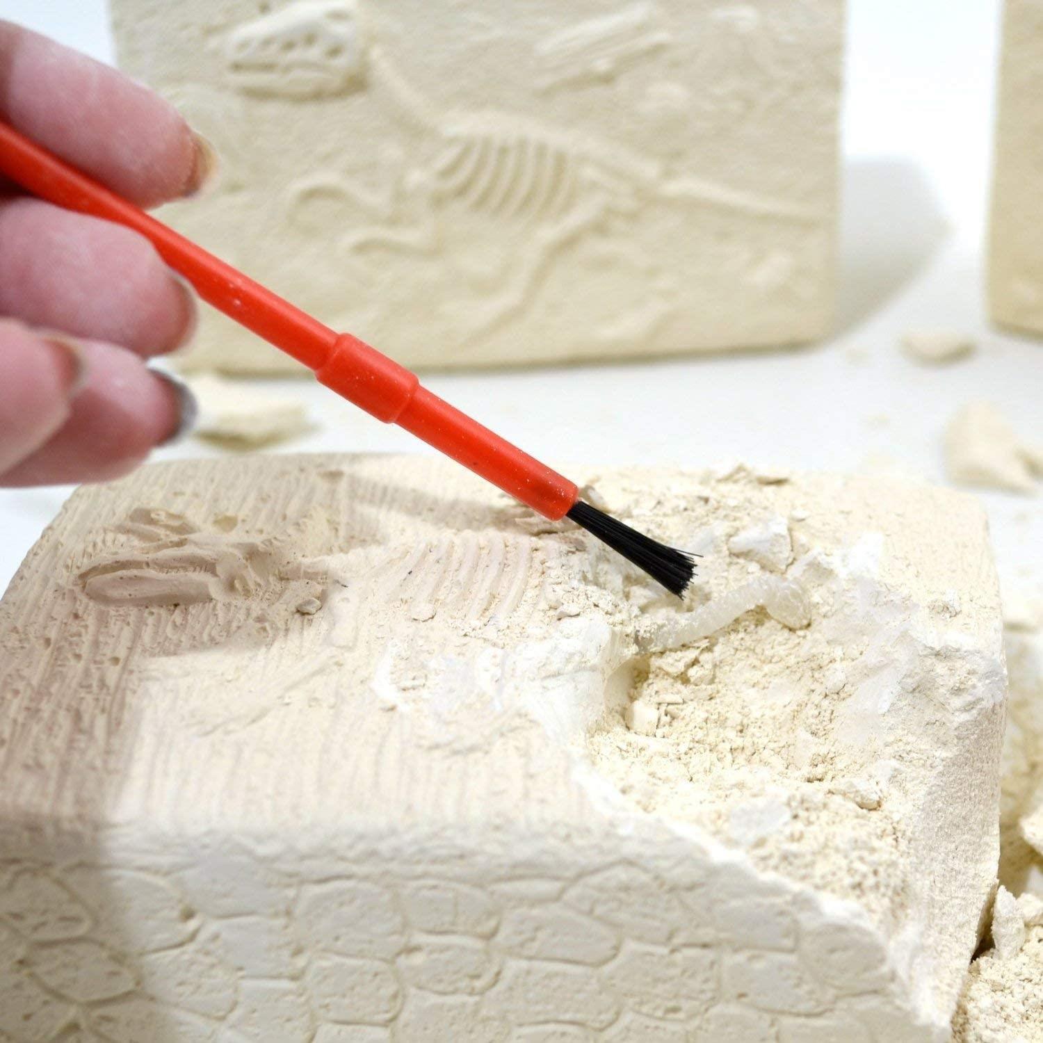 Dinosaur Fossils Digging Kit by The Magic Toy Shop - The Magic Toy Shop