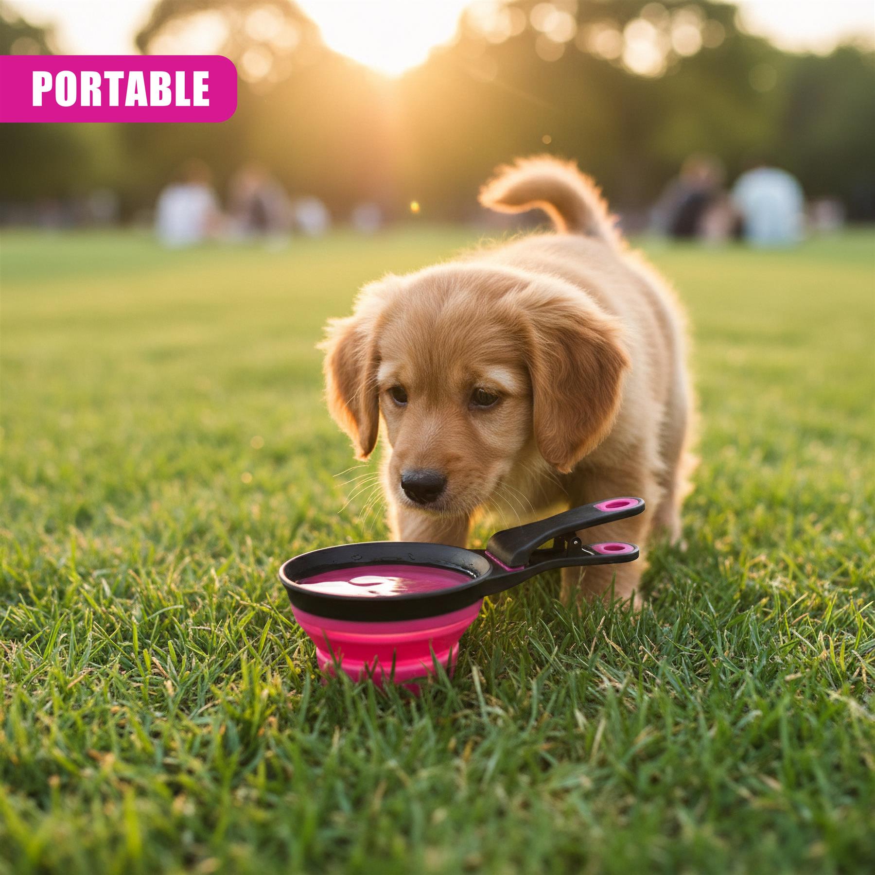 Collapsible pink and black pet scoop rests on grass beside a curious golden puppy.