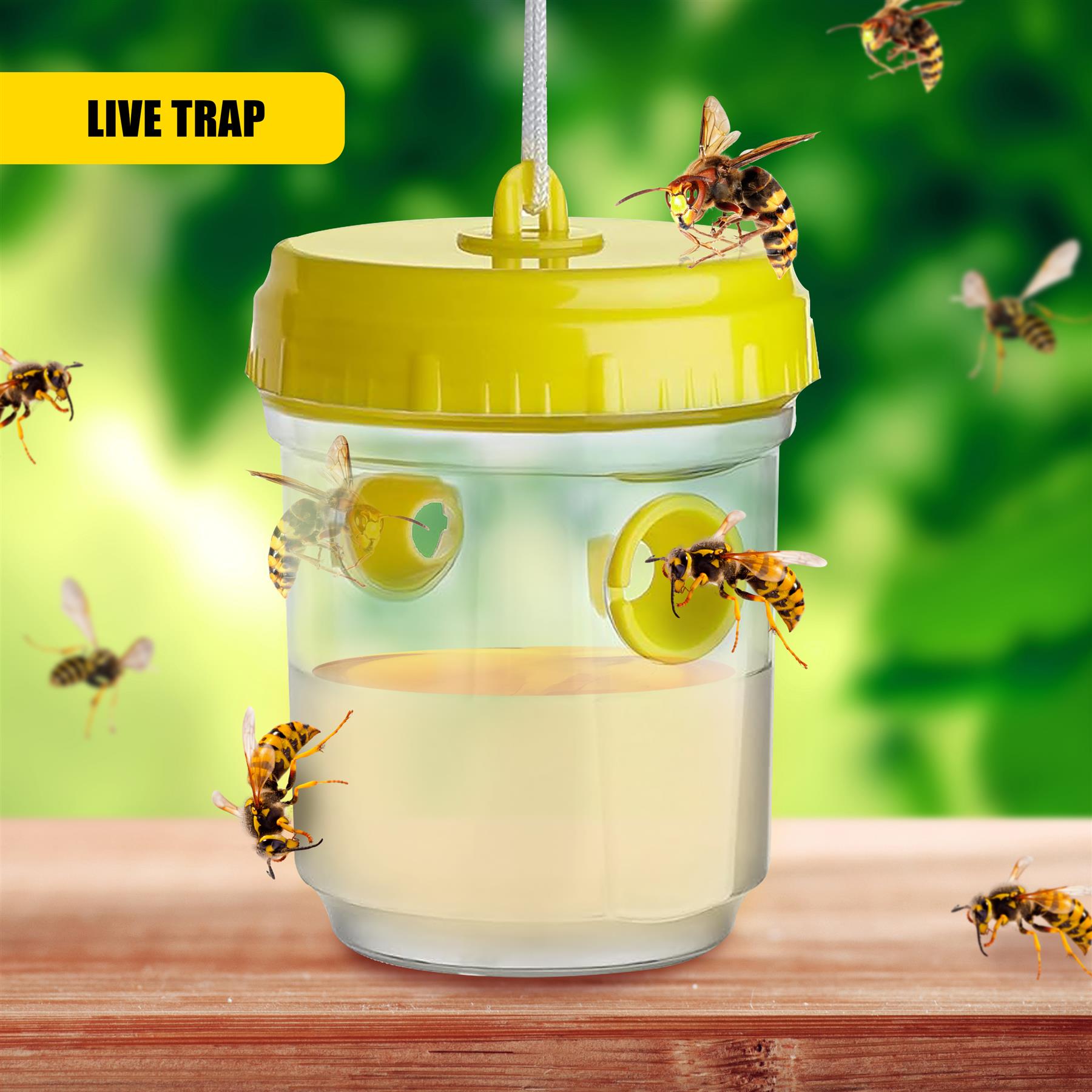 Wasp Trap - Set of 2 by GEEZY - The Magic Toy Shop