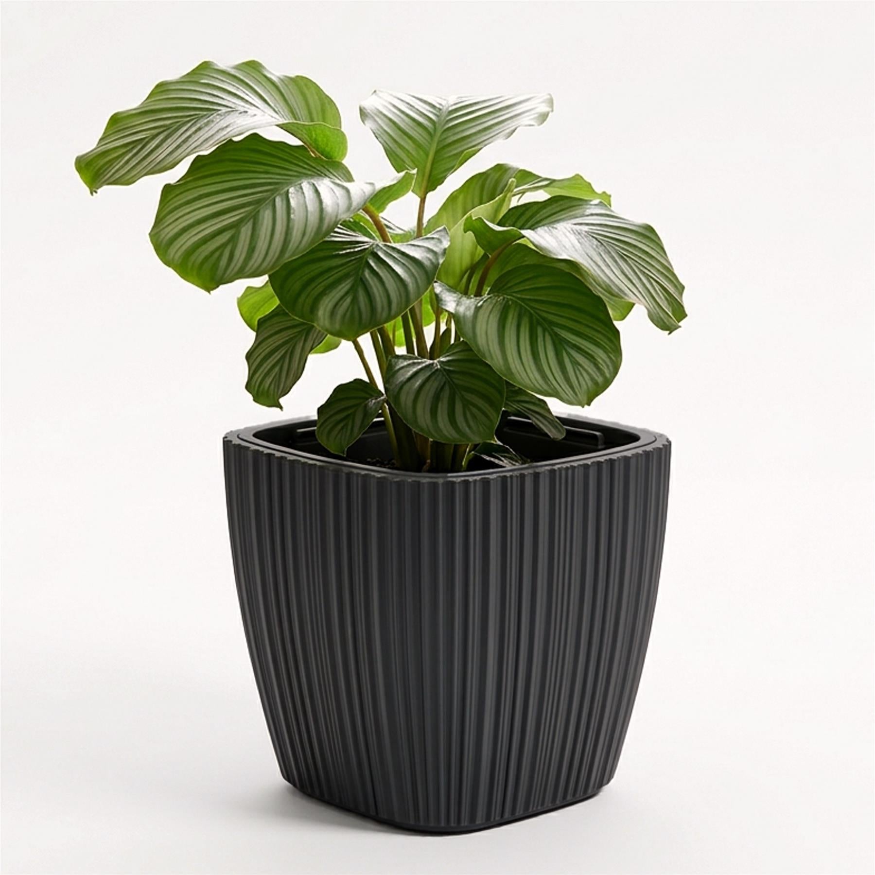Black Plant Pot with Insert, 29 cm