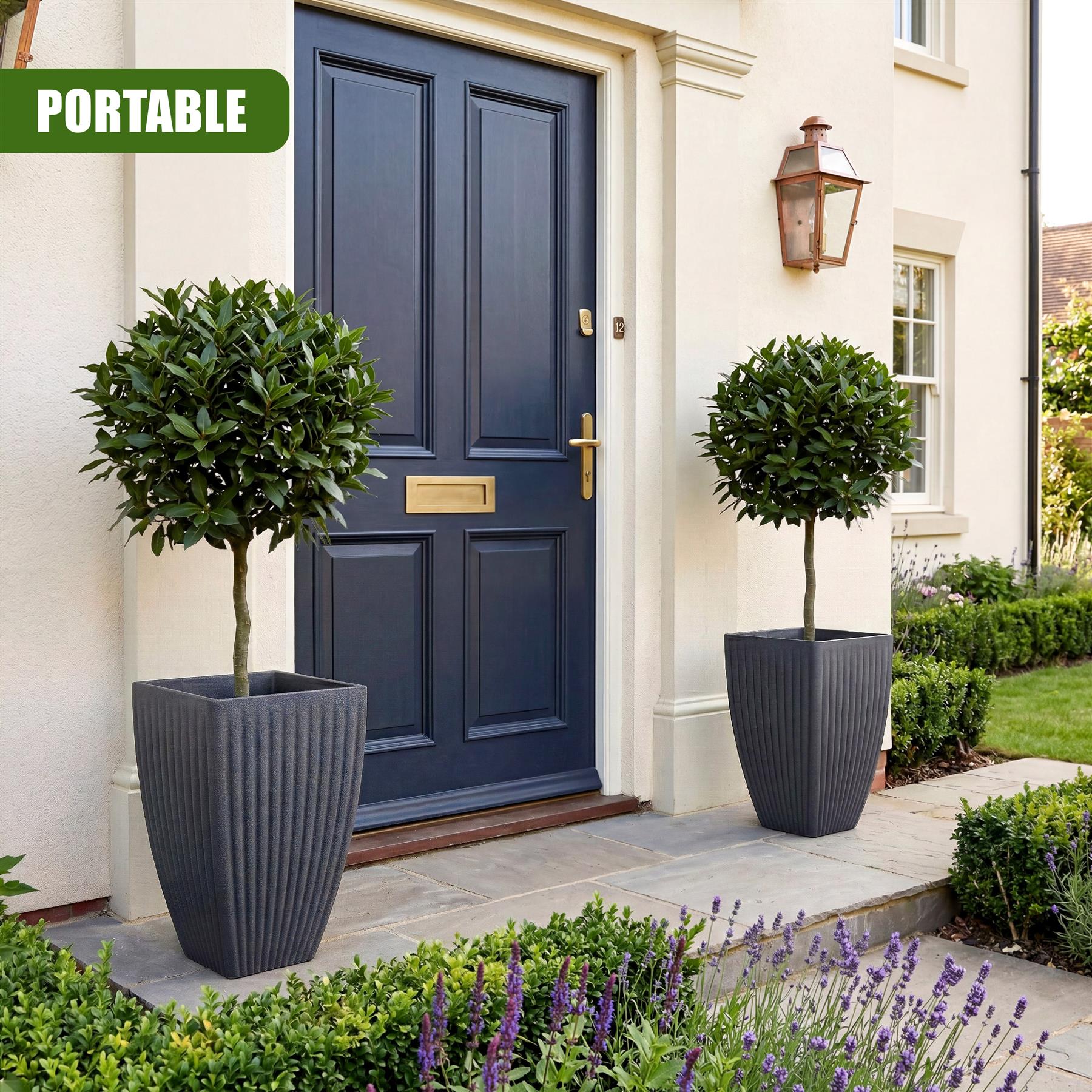 Two tall, charcoal planters flank a navy blue front door, each holding a small green shrub.