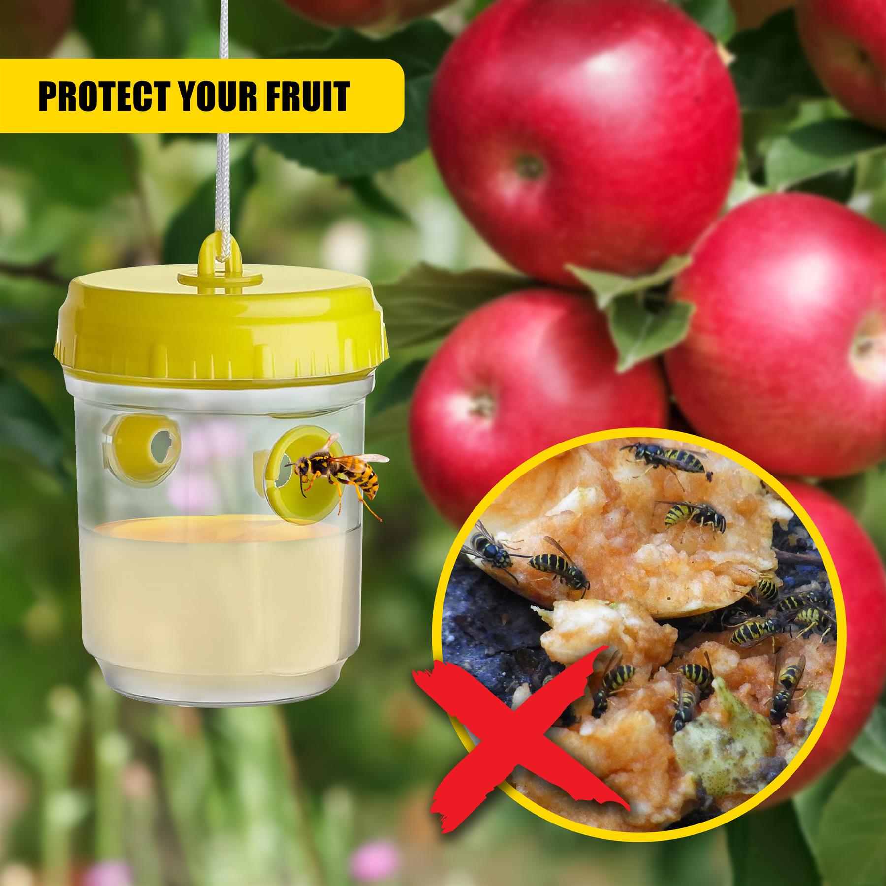 Wasp Trap - Set of 2 by GEEZY - The Magic Toy Shop