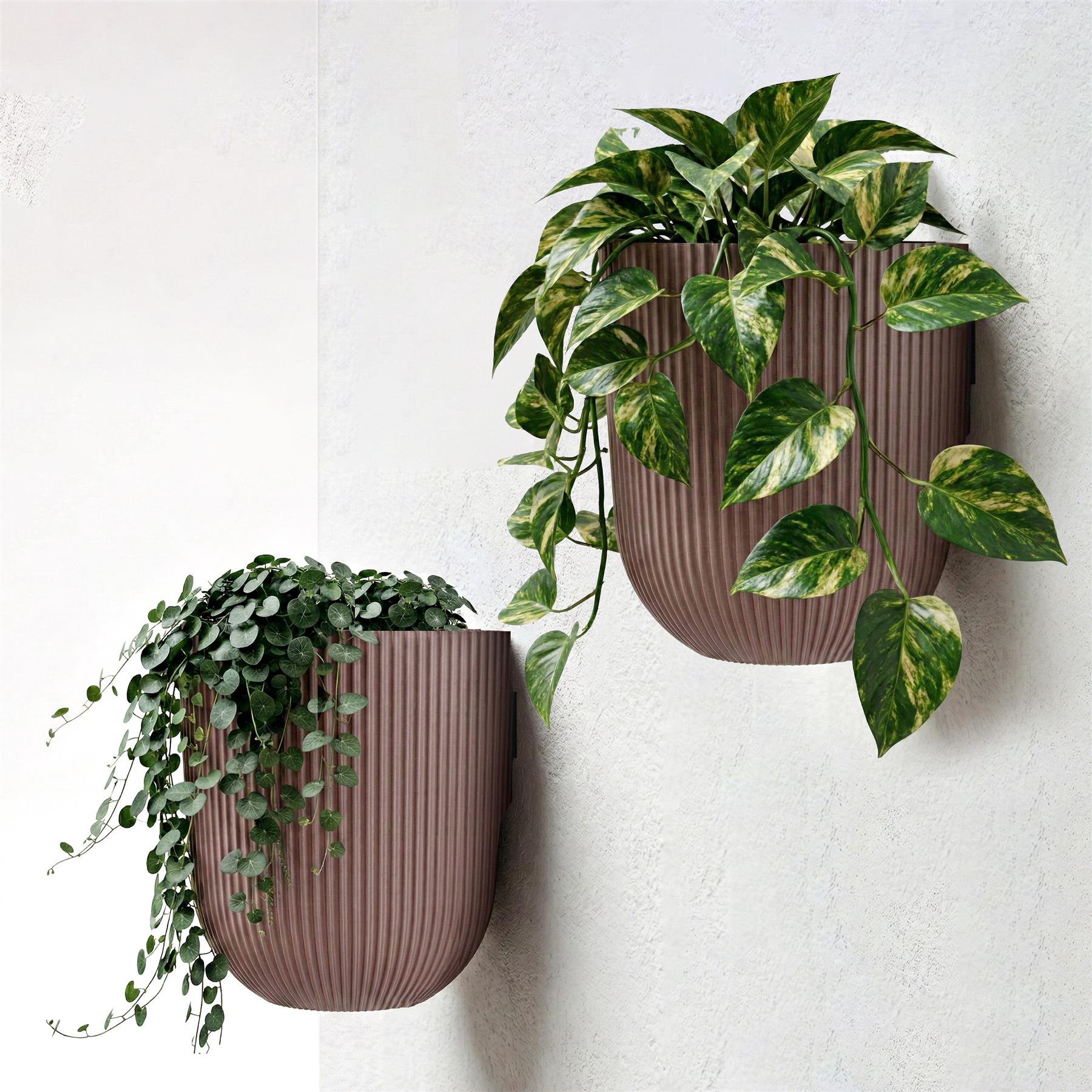 Two brown ribbed wall planters display trailing green and variegated tropical house plants.
