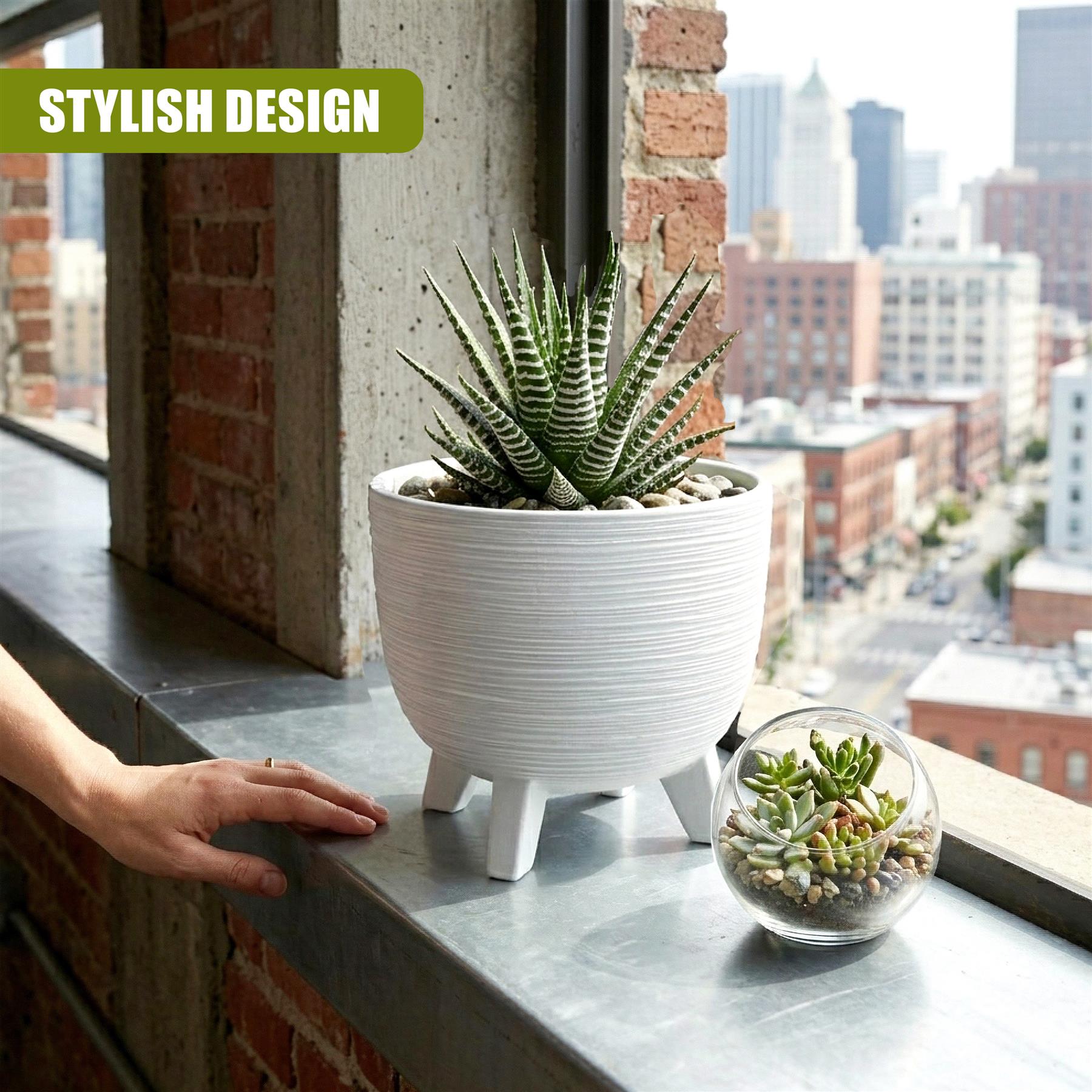 White potted plant with legs features a succulent, paired with a small glass bowl containing multiple small succulents.