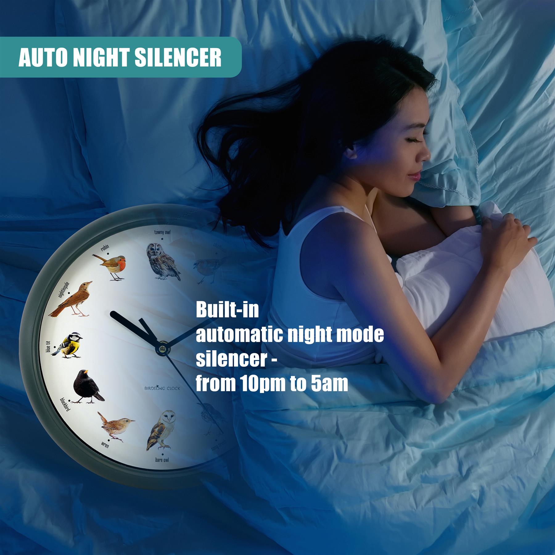 Birdsong Wall Clock with 12 Songs by GEEZY - The Magic Toy Shop