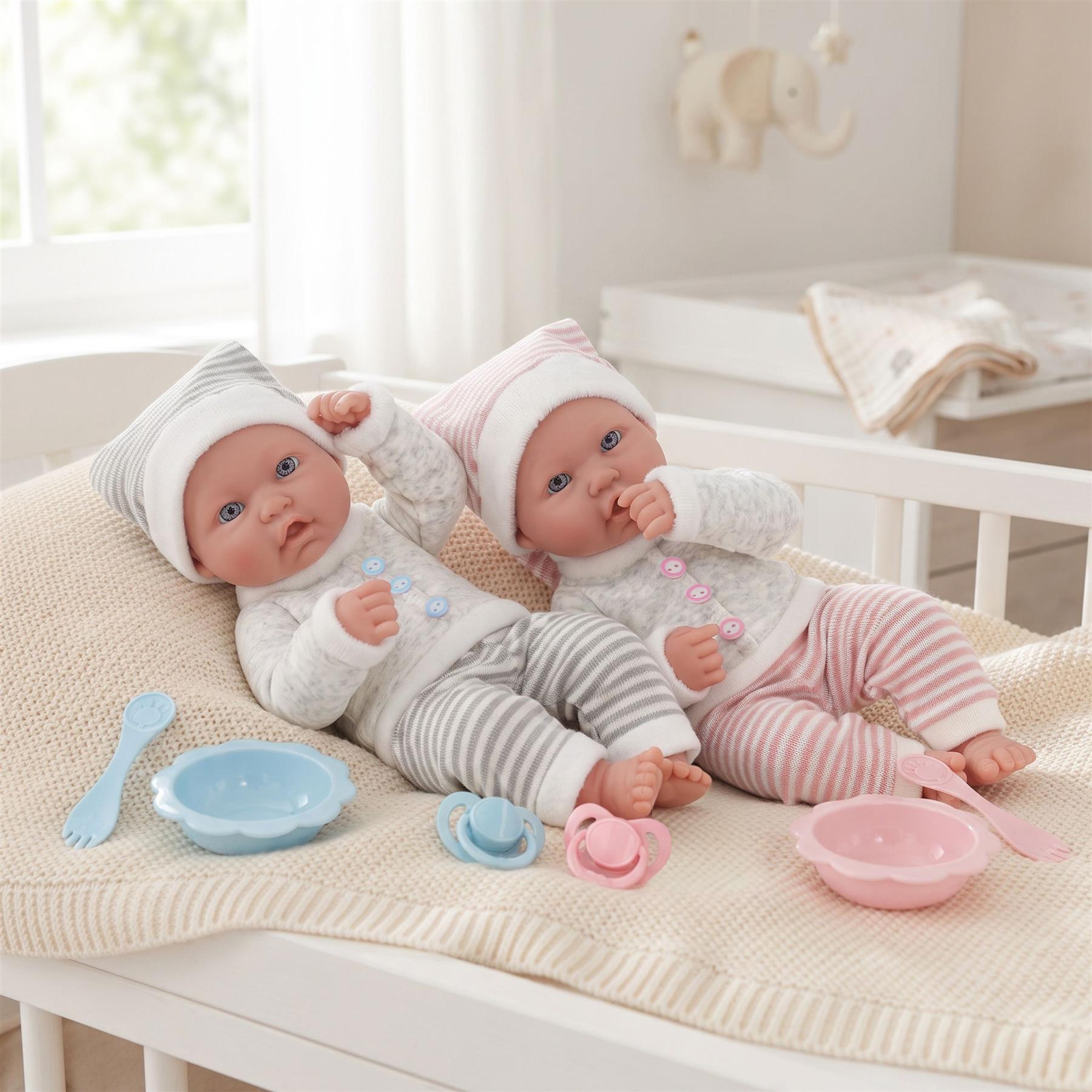 Twin Baby Dolls Dummy and Feeding Set