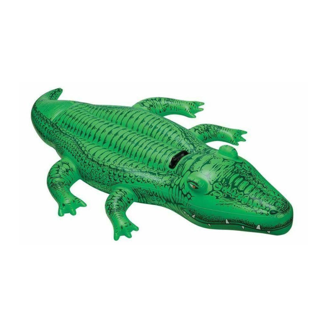 Inflatable Ride On Crocodile by Intex - The Magic Toy Shop