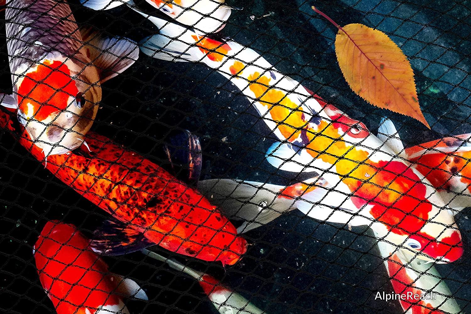 Black 3X4 m Pond Netting For Fish Protection by Geezy - The Magic Toy Shop