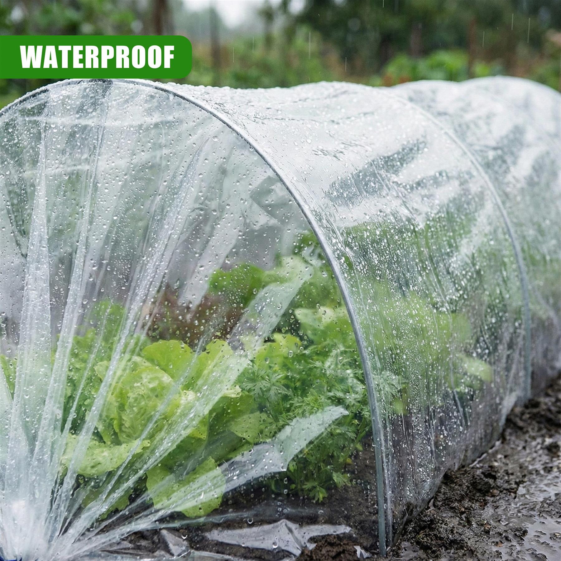 Greenhouse Polytunnel