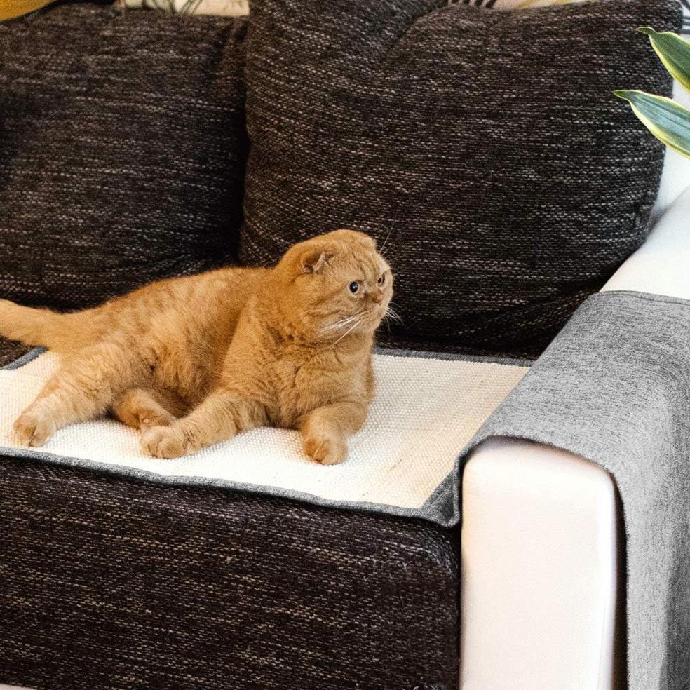 Cat Scratch Mat for Furniture Protection by GEEZY - The Magic Toy Shop