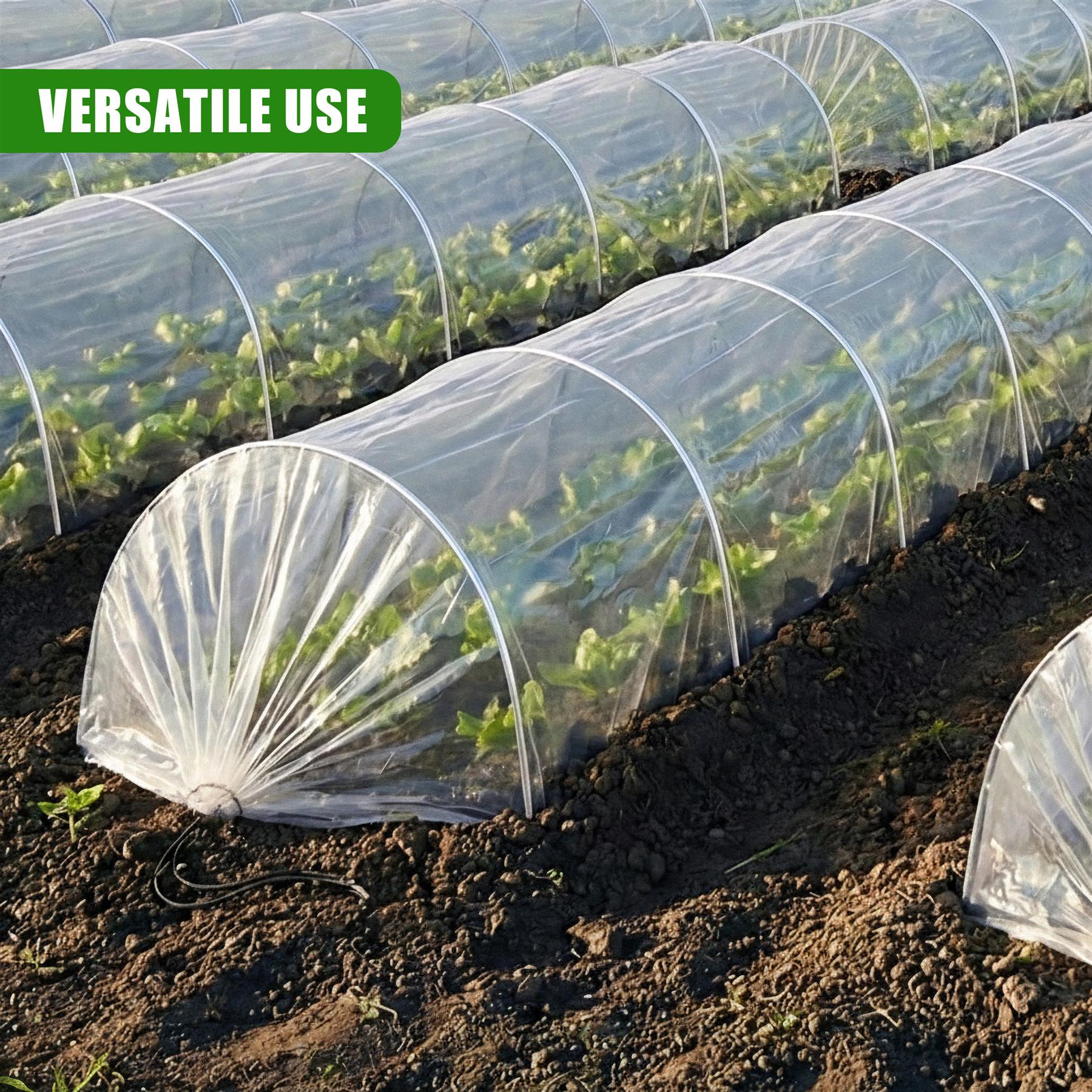 Greenhouse Polytunnel