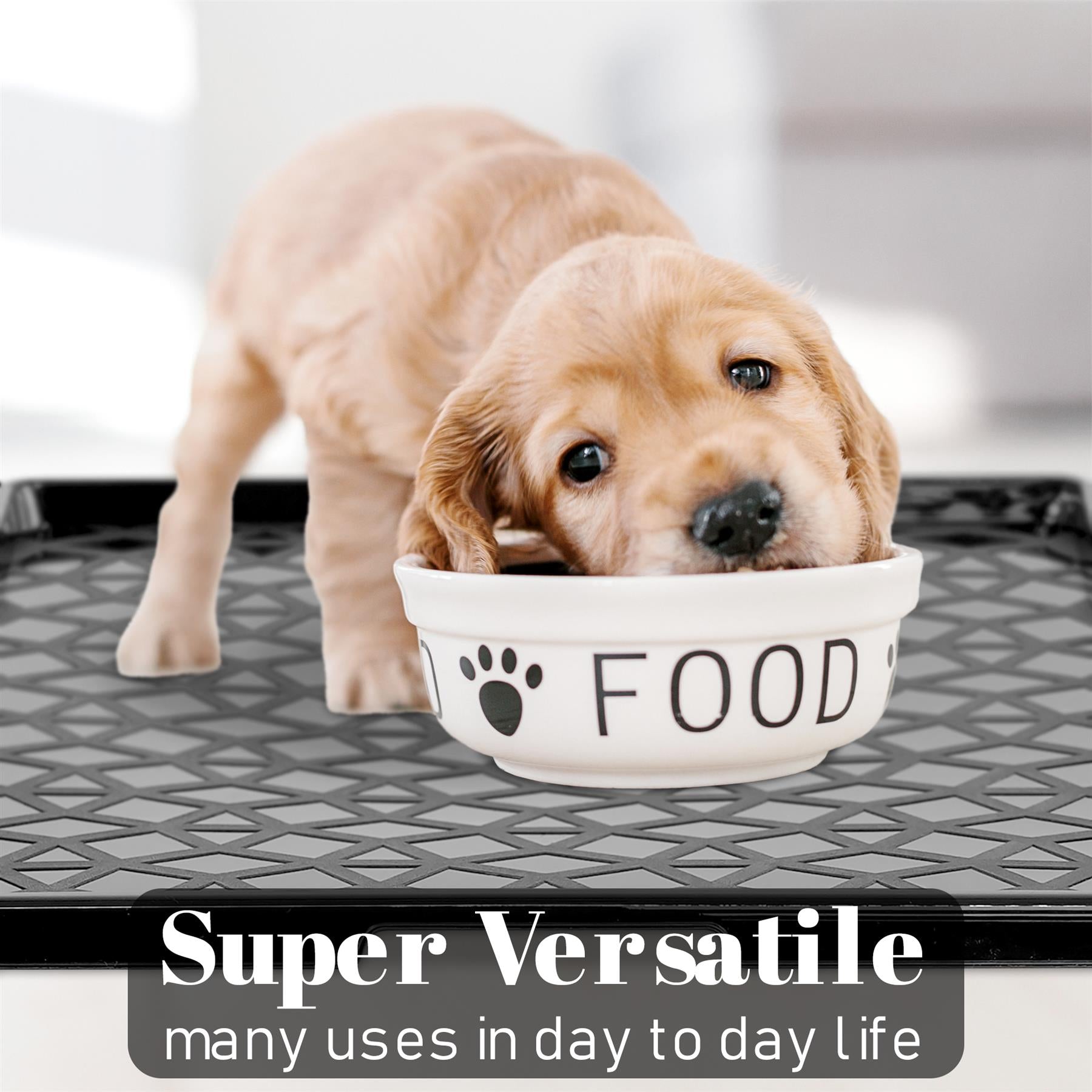 Plastic Shoe Tray Set of 2 by GEEZY - The Magic Toy Shop