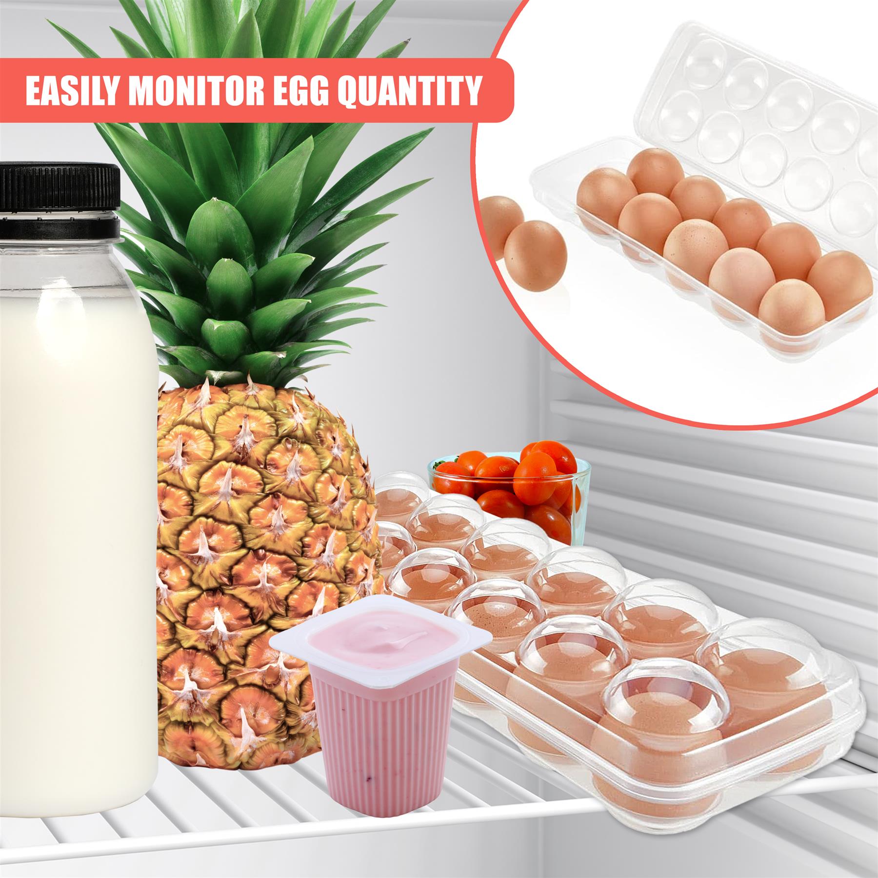 12 Eggs Holder With Lid by GEEZY - The Magic Toy Shop