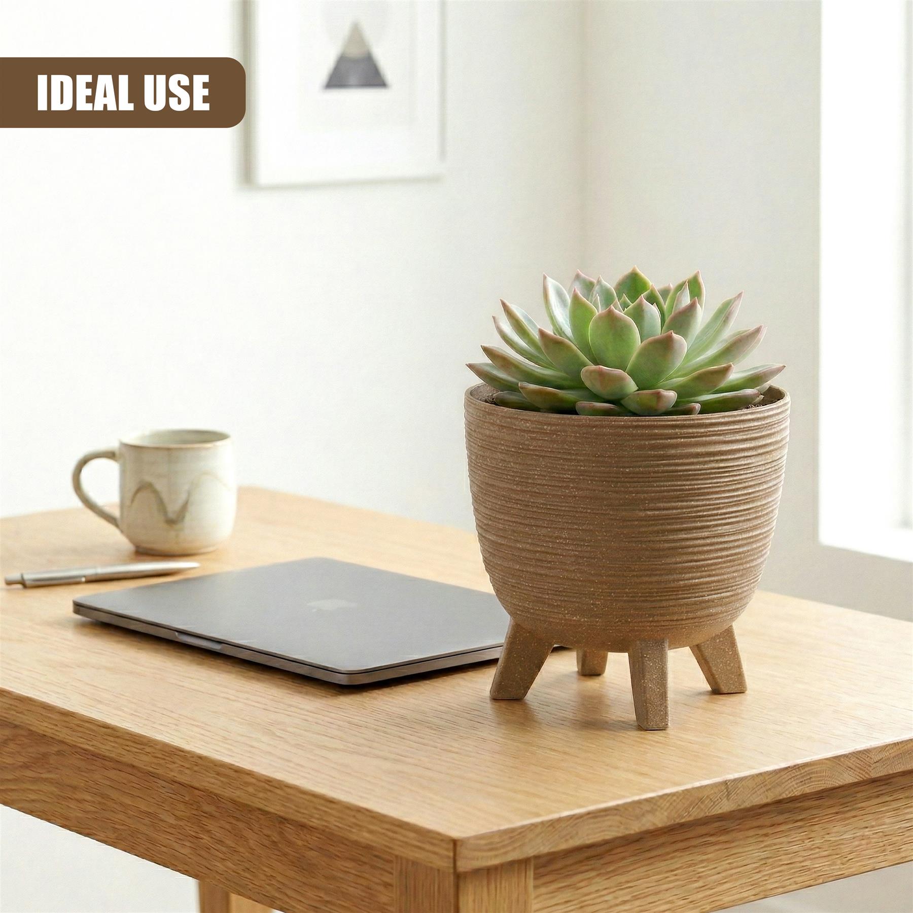 The succulent plant rests in a ribbed, natural brown planter supported by three wooden legs.