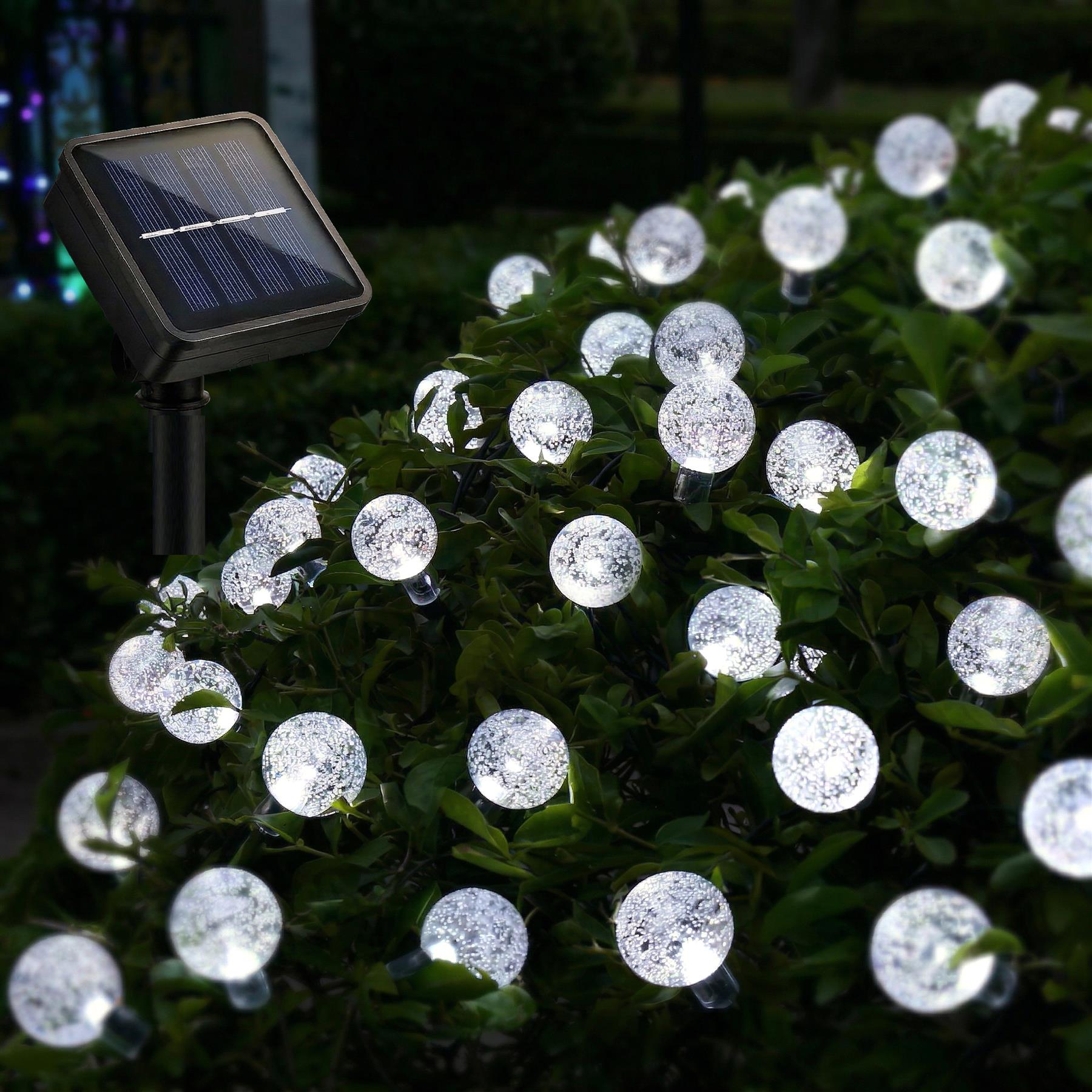 Glowing solar string lights are wrapped throughout the foliage of a dense, dark green shrub.