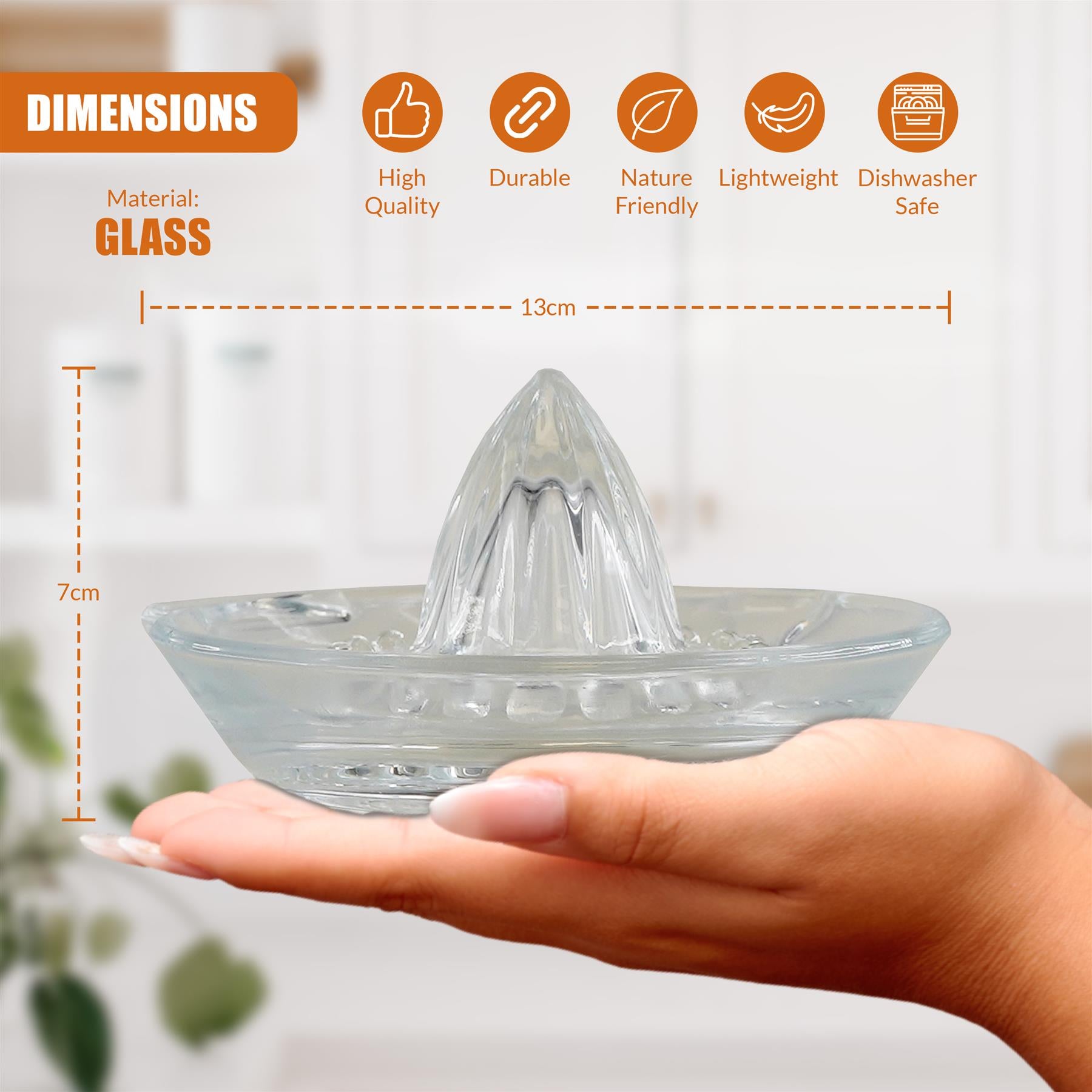 Glass Citrus Juicer by GEEZY - The Magic Toy Shop