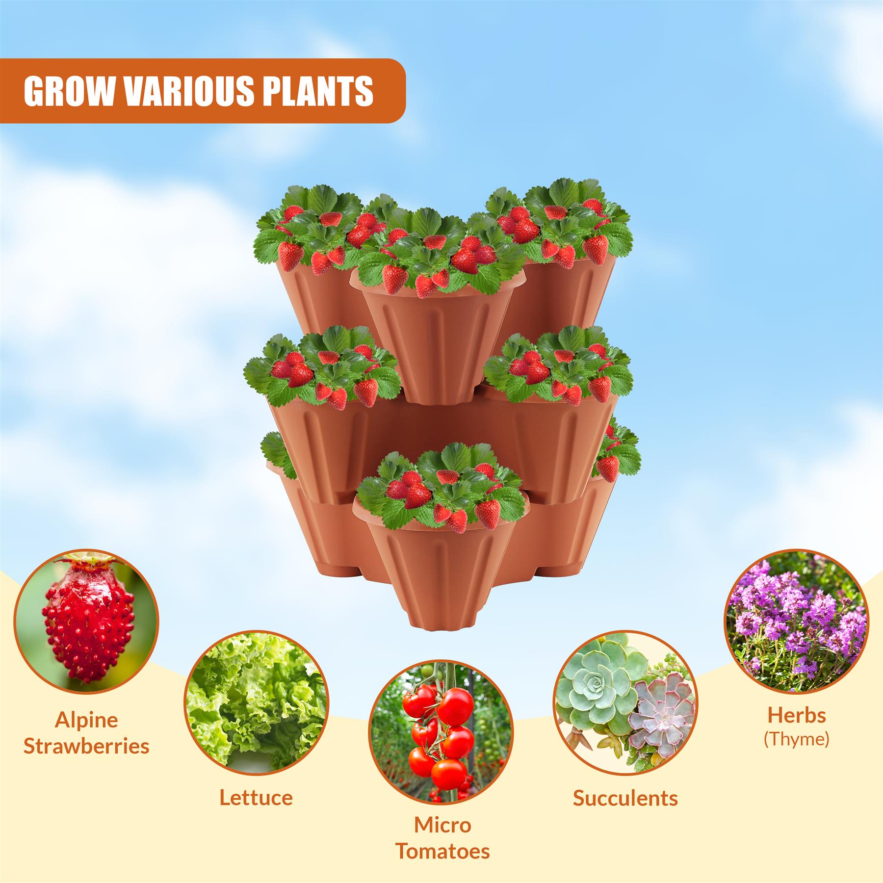 Stackable Strawberry Planter