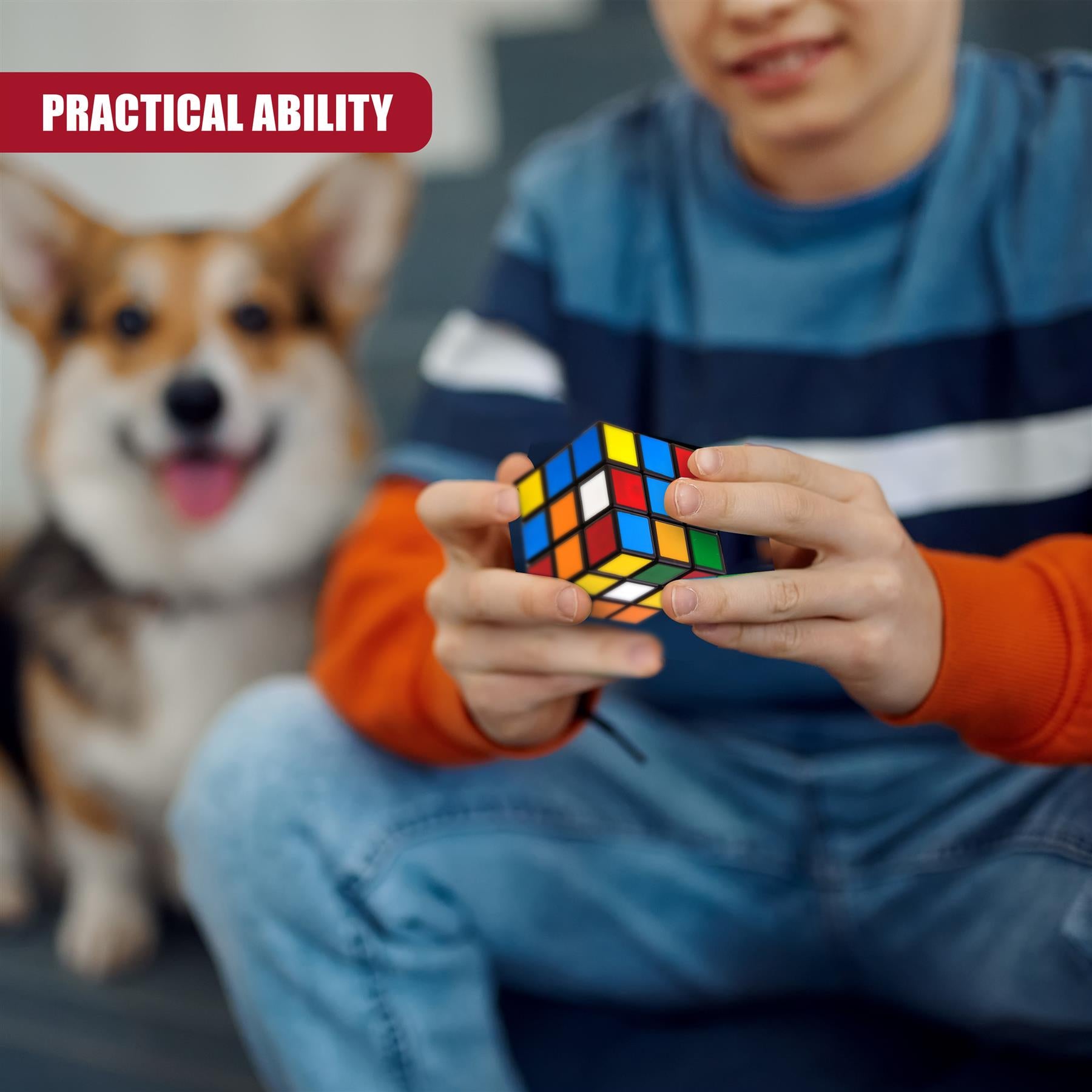 Set of 12 Puzzle Cubes