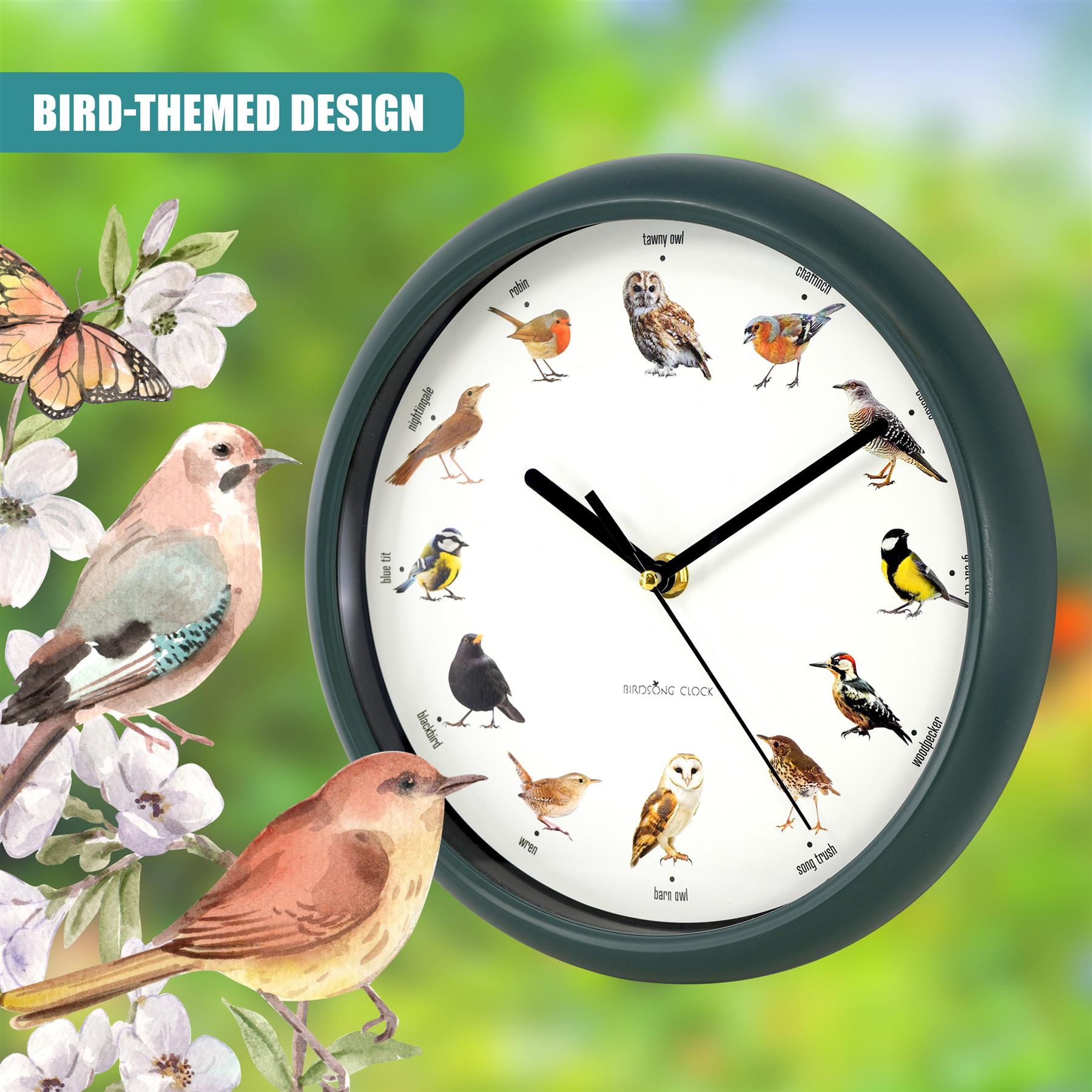 Birdsong Wall Clock with 12 Songs by GEEZY - The Magic Toy Shop