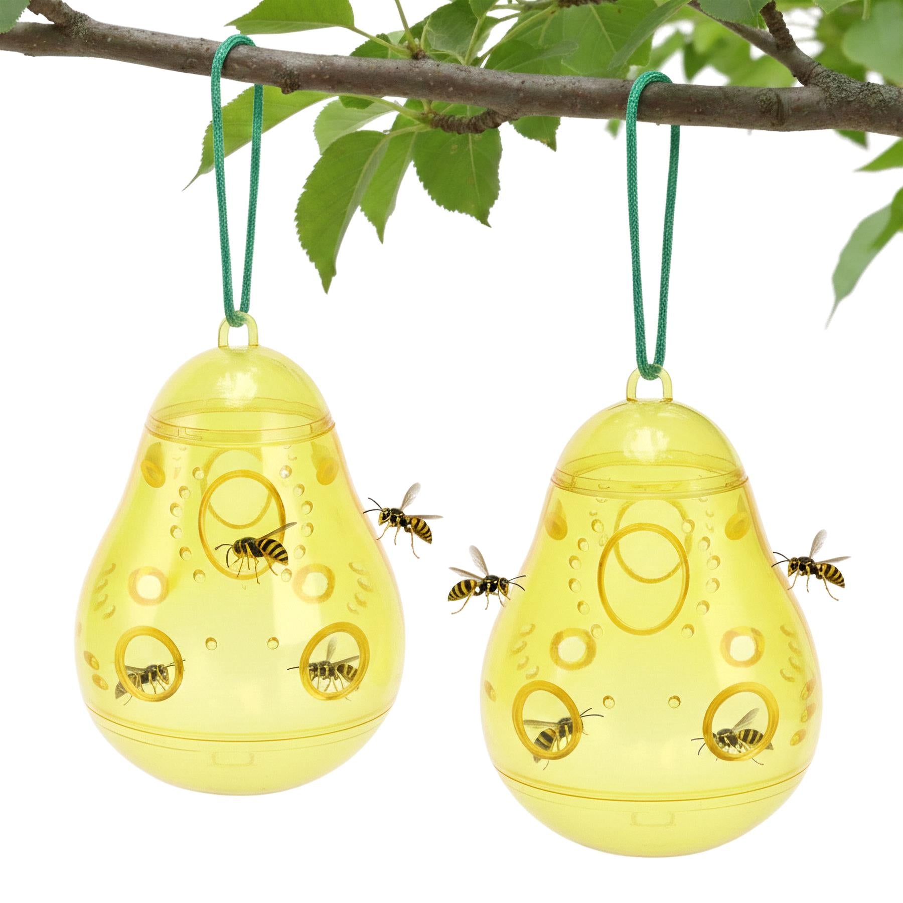 Two yellow hanging traps, each decorated with wasp illustrations, suspended from a leafy branch.