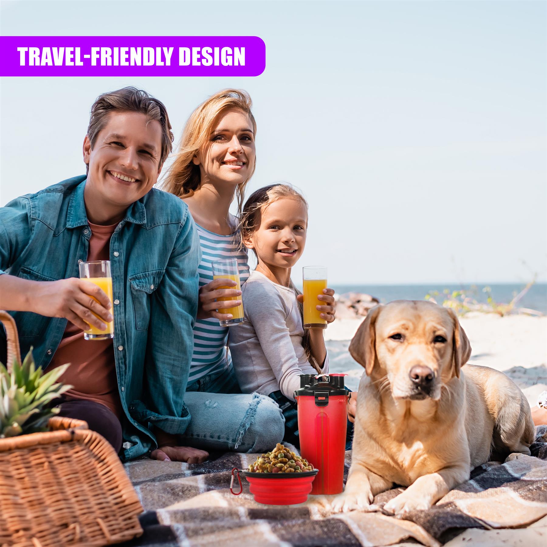 Foldable Bowl and Water Bottle Set for Pets by Geezy - The Magic Toy Shop