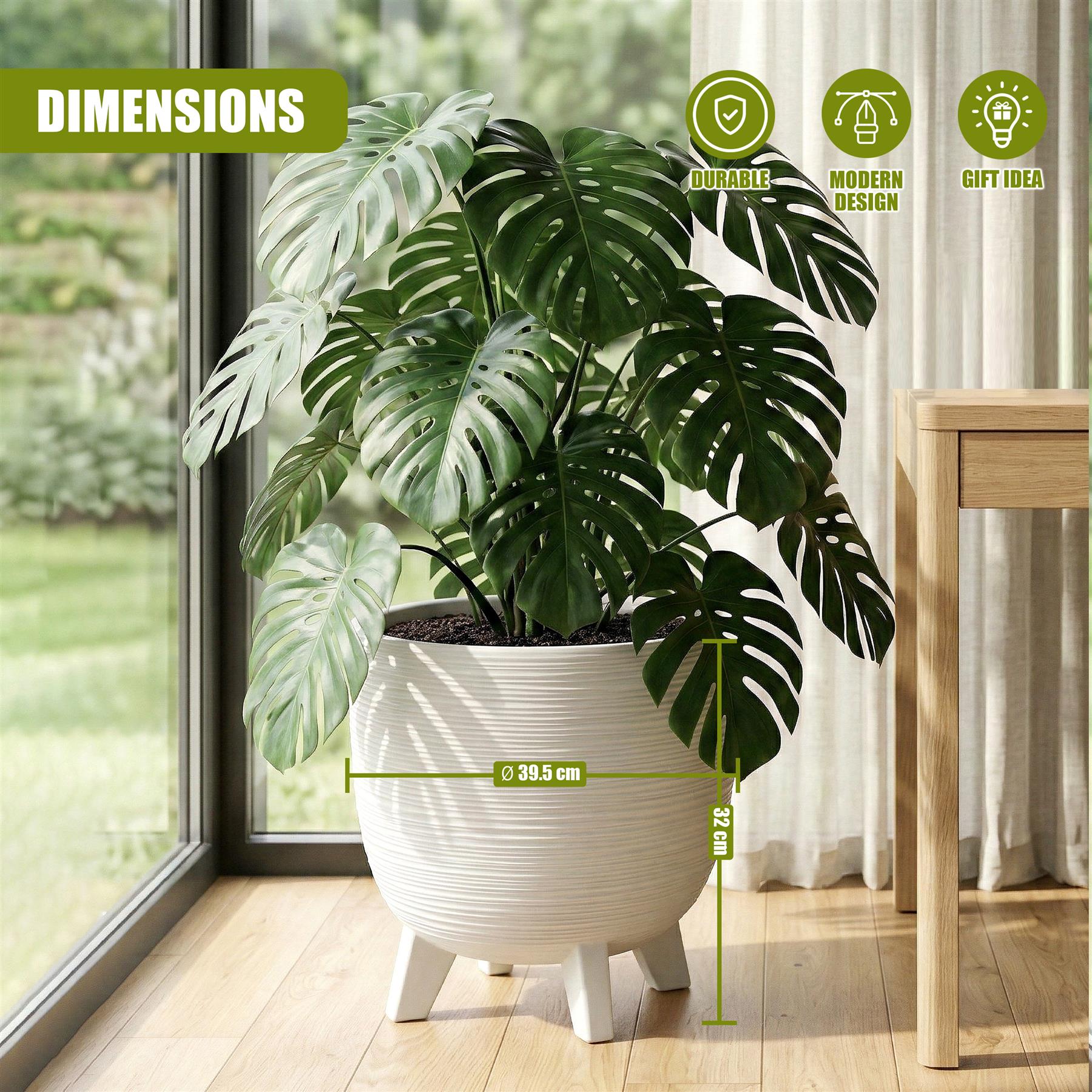 Large green potted plant housed in a modern white ceramic flower pot with short supporting legs.
