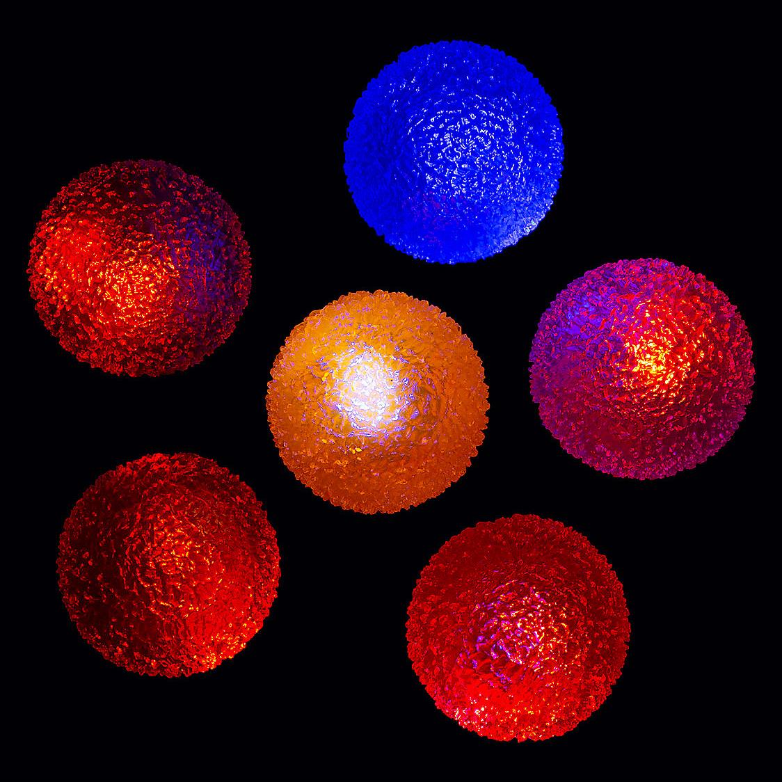 Flashing Rubber Bouncy Ball by The Magic Toy Shop - The Magic Toy Shop