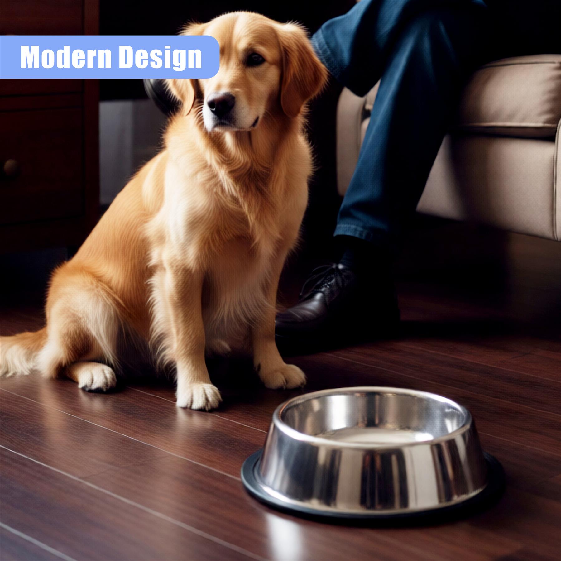 "Two stainless steel dog bowls in a living room setting with a golden retriever." - The Magic Toy Shop