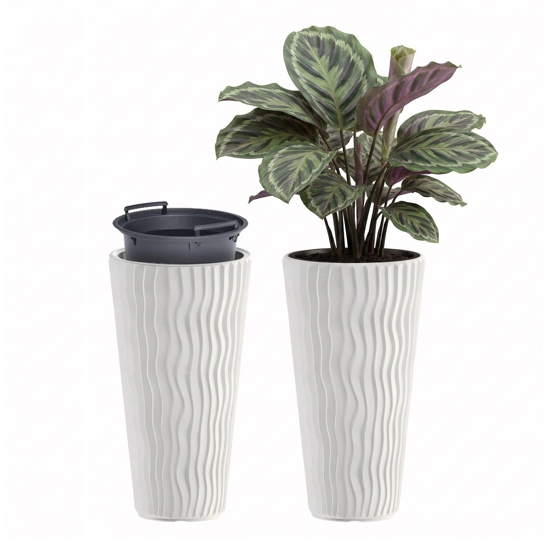 Pair of tall, white planters featuring wave texture, with one pot containing a variegated houseplant.
