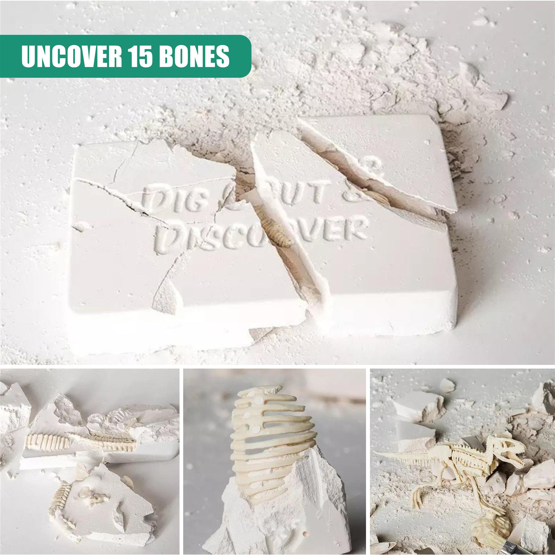 2-in-1 Fossil Excavation & Modelling Kit