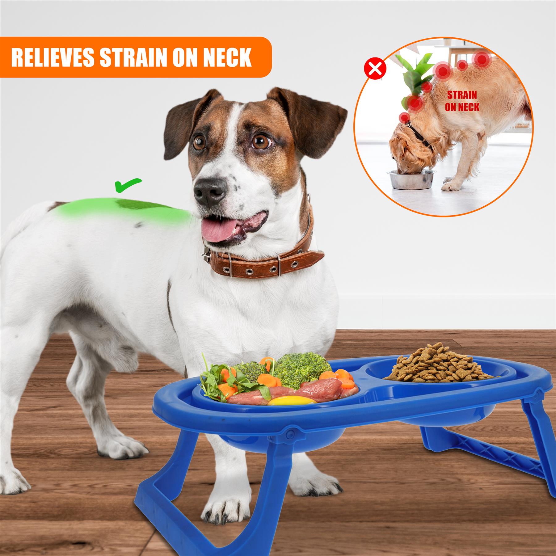 Elevated Double Pet Bowls by GEEZY - The Magic Toy Shop