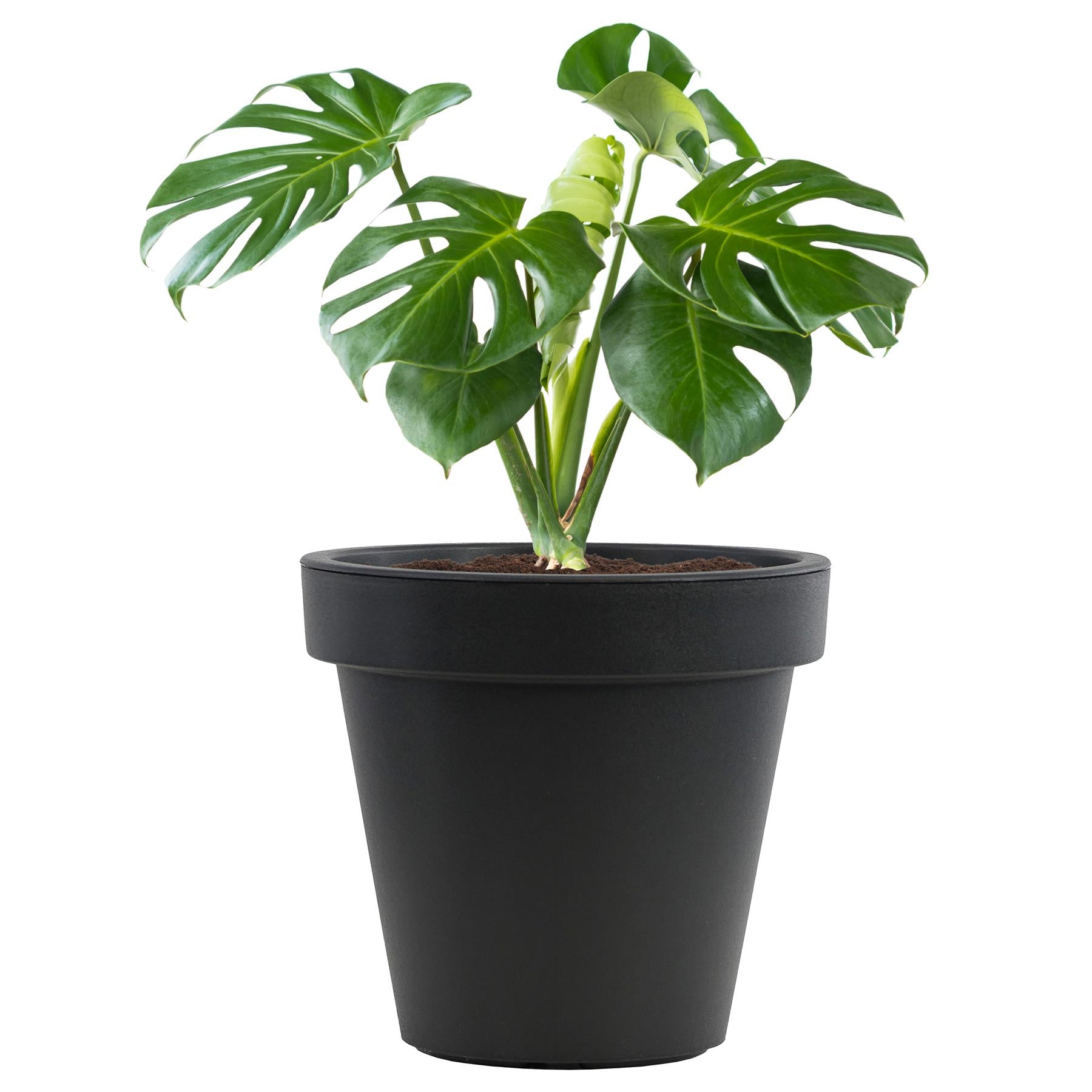 Anthracite Large Flower Pot Planter 35 x 31 cm by GEEZY - The Magic Toy Shop