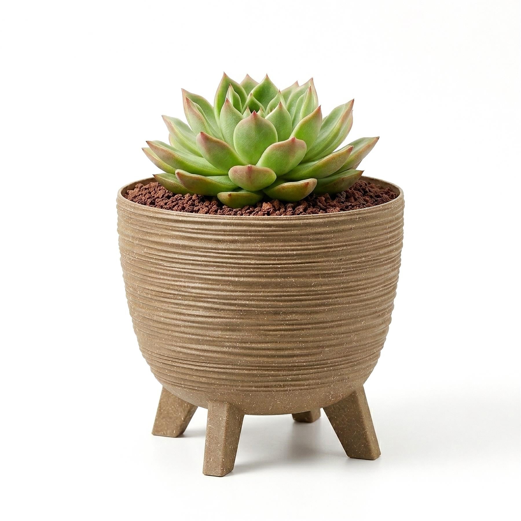 Light brown, ribbed pot with three legs contains a green rosette succulent plant.