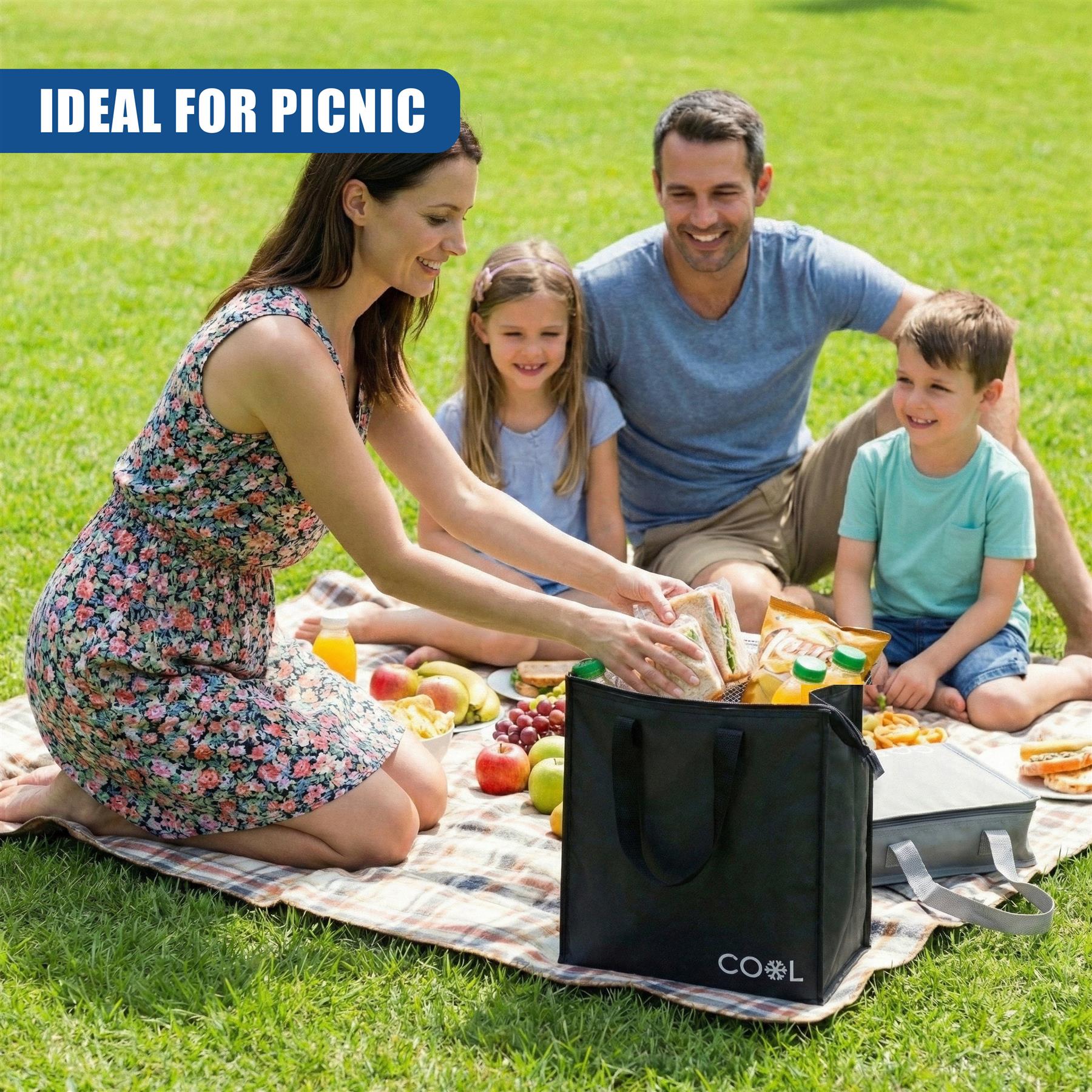 Insulated Grocery Shopping Bag 20L