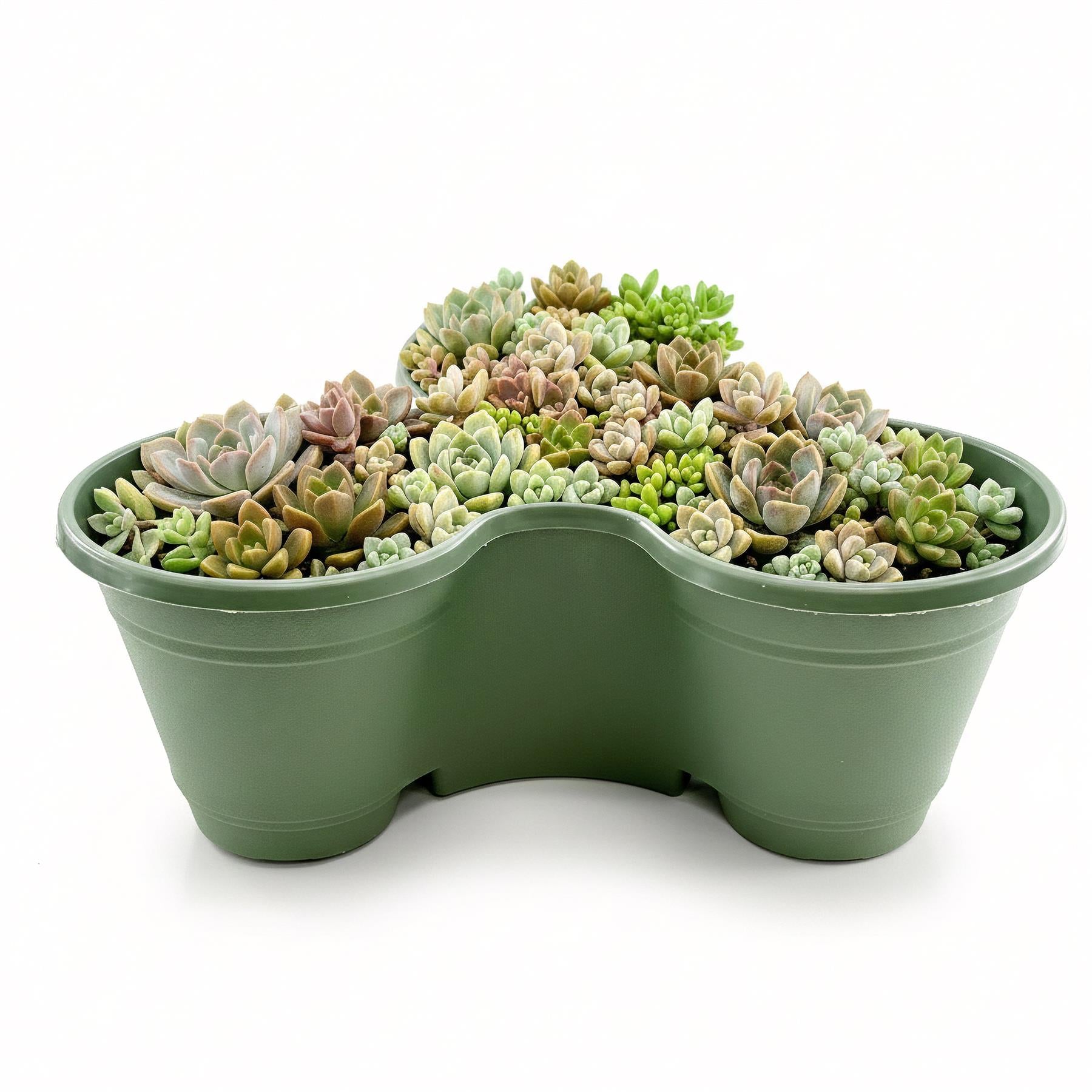 Stackable Strawberry Planters