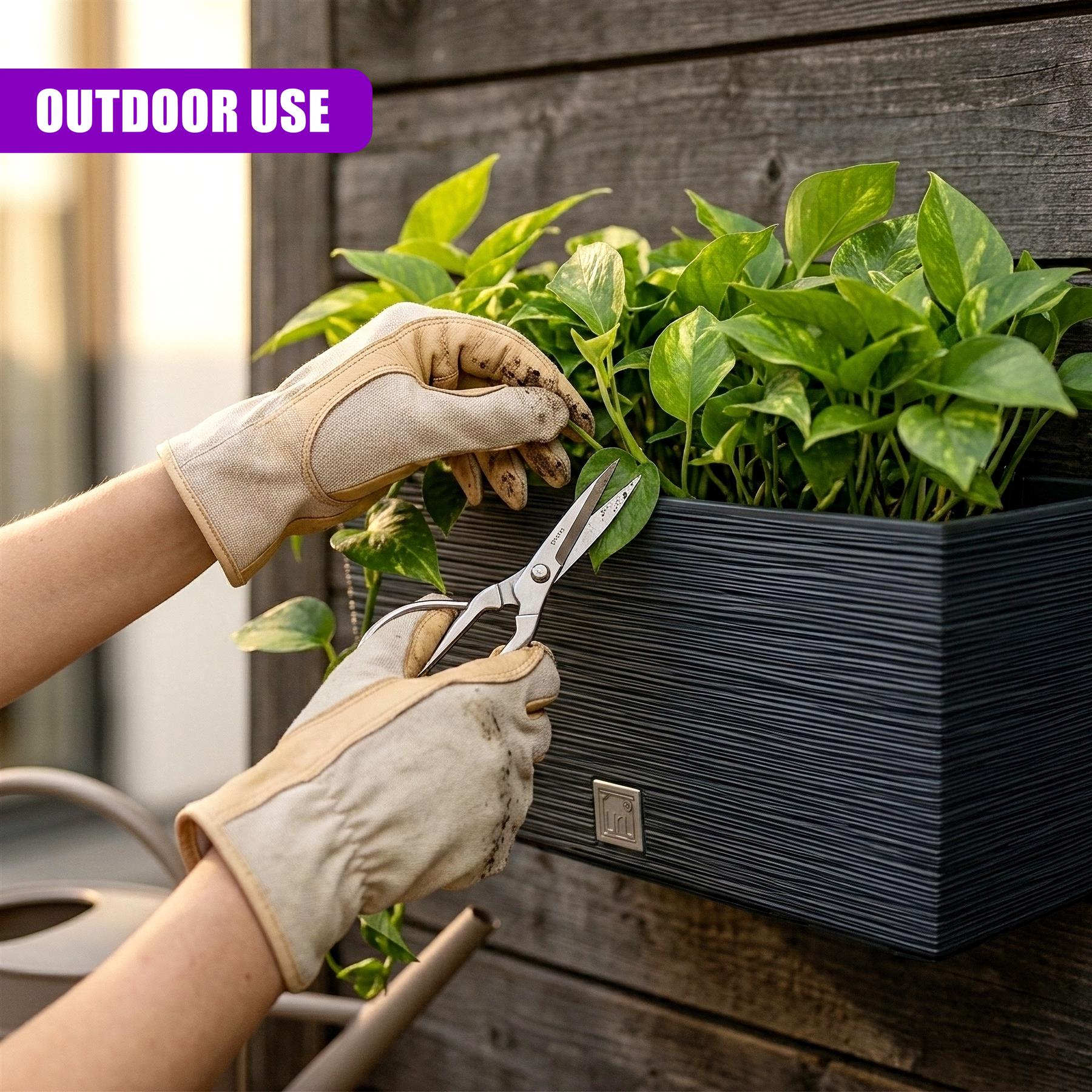 Two hands trim plants using scissors in a black, rectangular planter on dark wood.