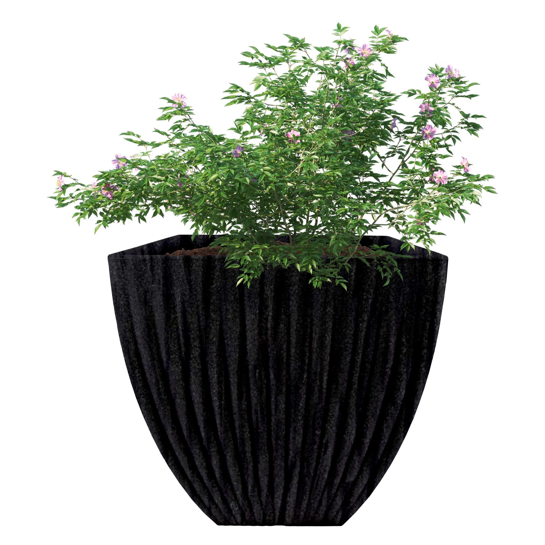 Large Charcoal Black Lotus Square Planter